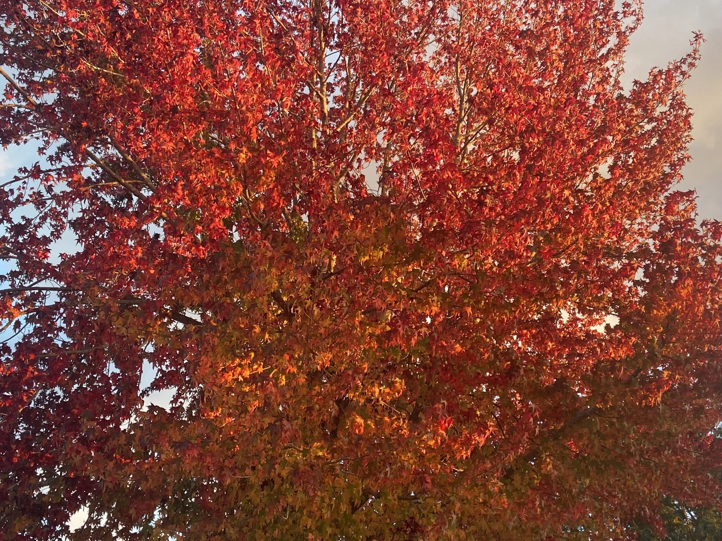 Listening for the Quiet