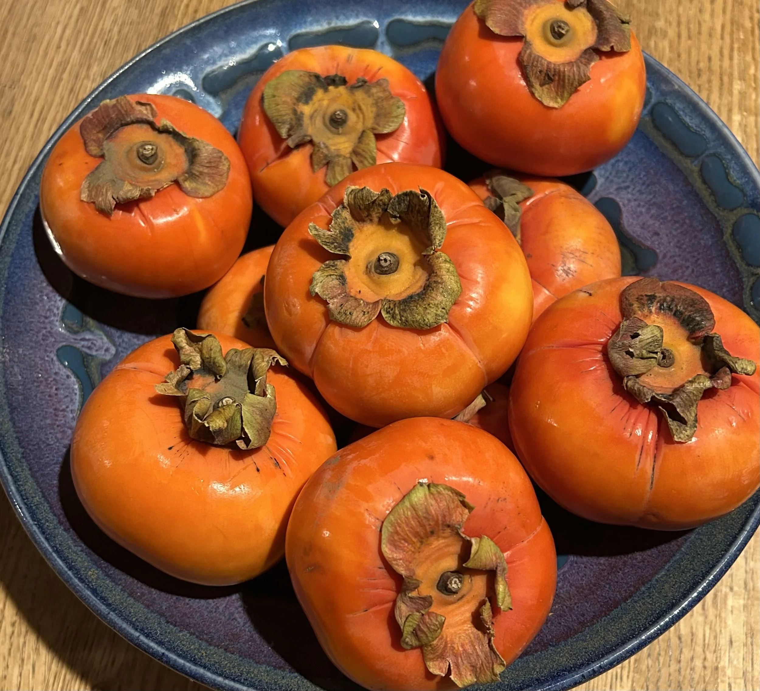 Protecting Winter Health, Hope, Solstice, &amp; More