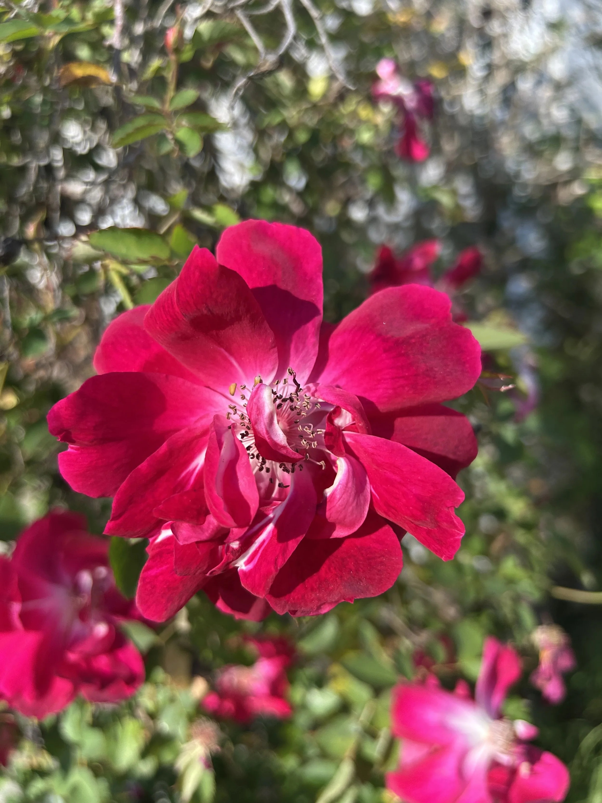 Equinox: All the Feels!