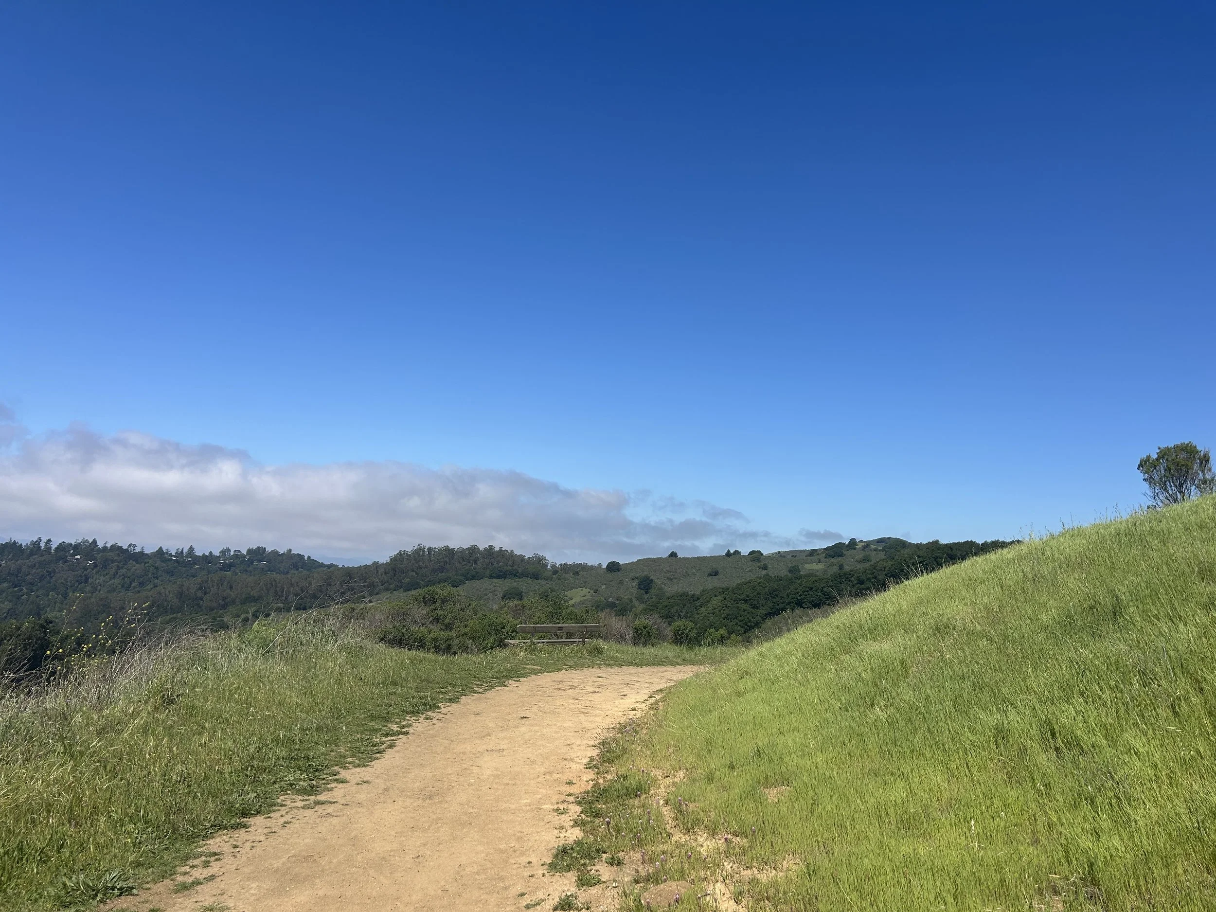 Tending and Befriending Our Bodies