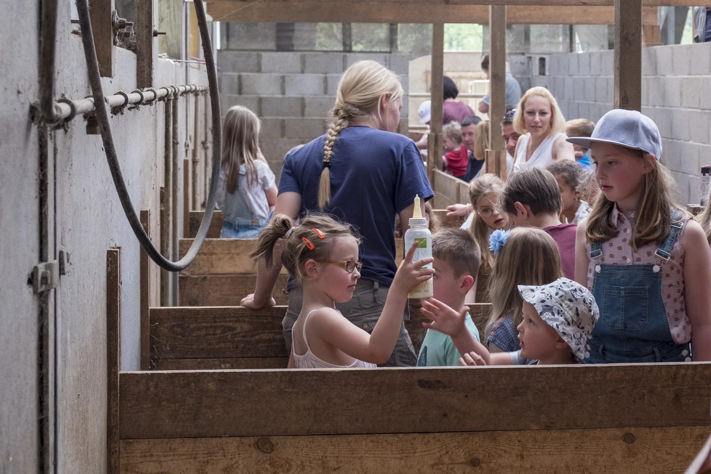 Lammetjesdag_2018_DSF7764.jpg