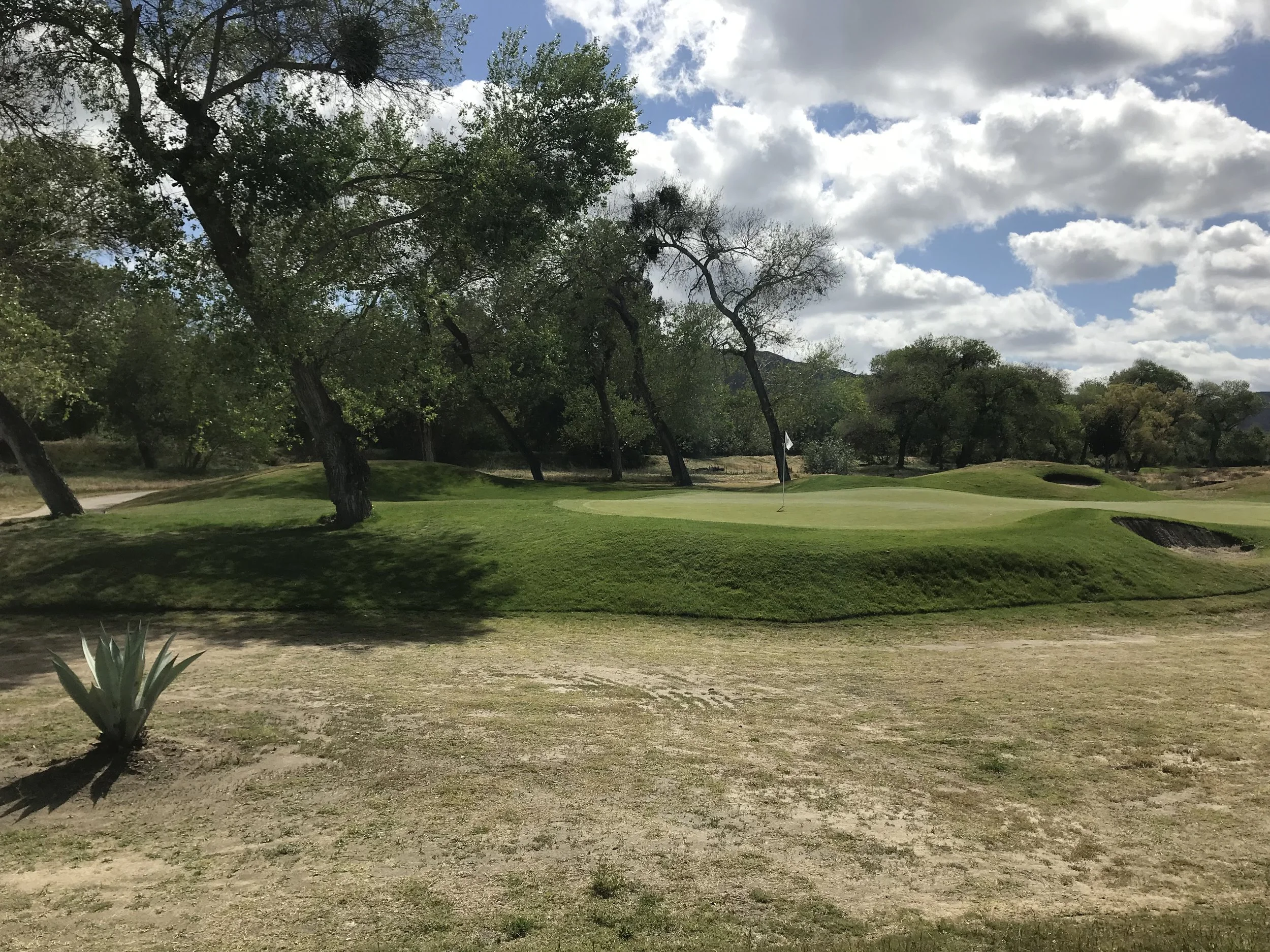 Pictured here is the 10th green