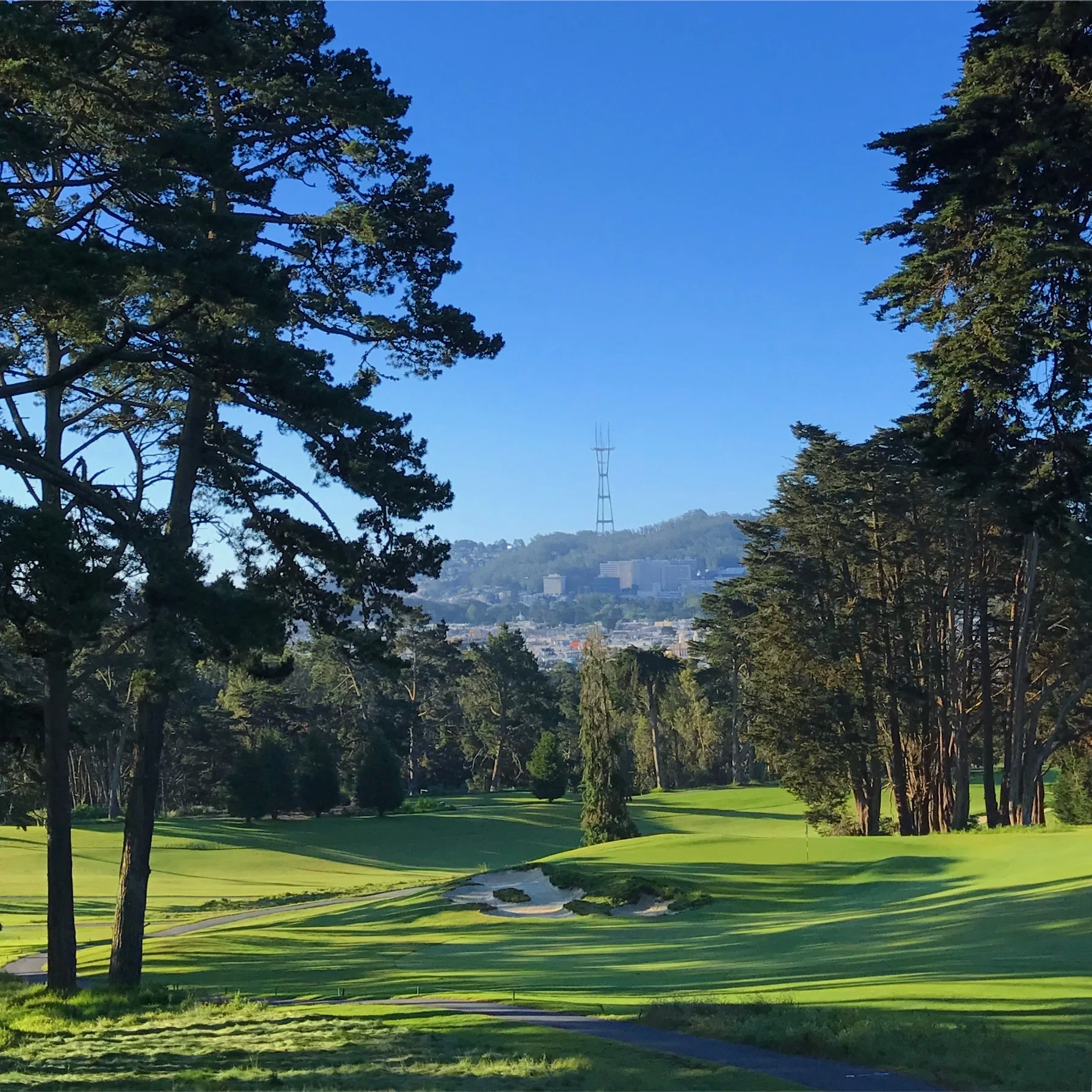 Par 3, 15th