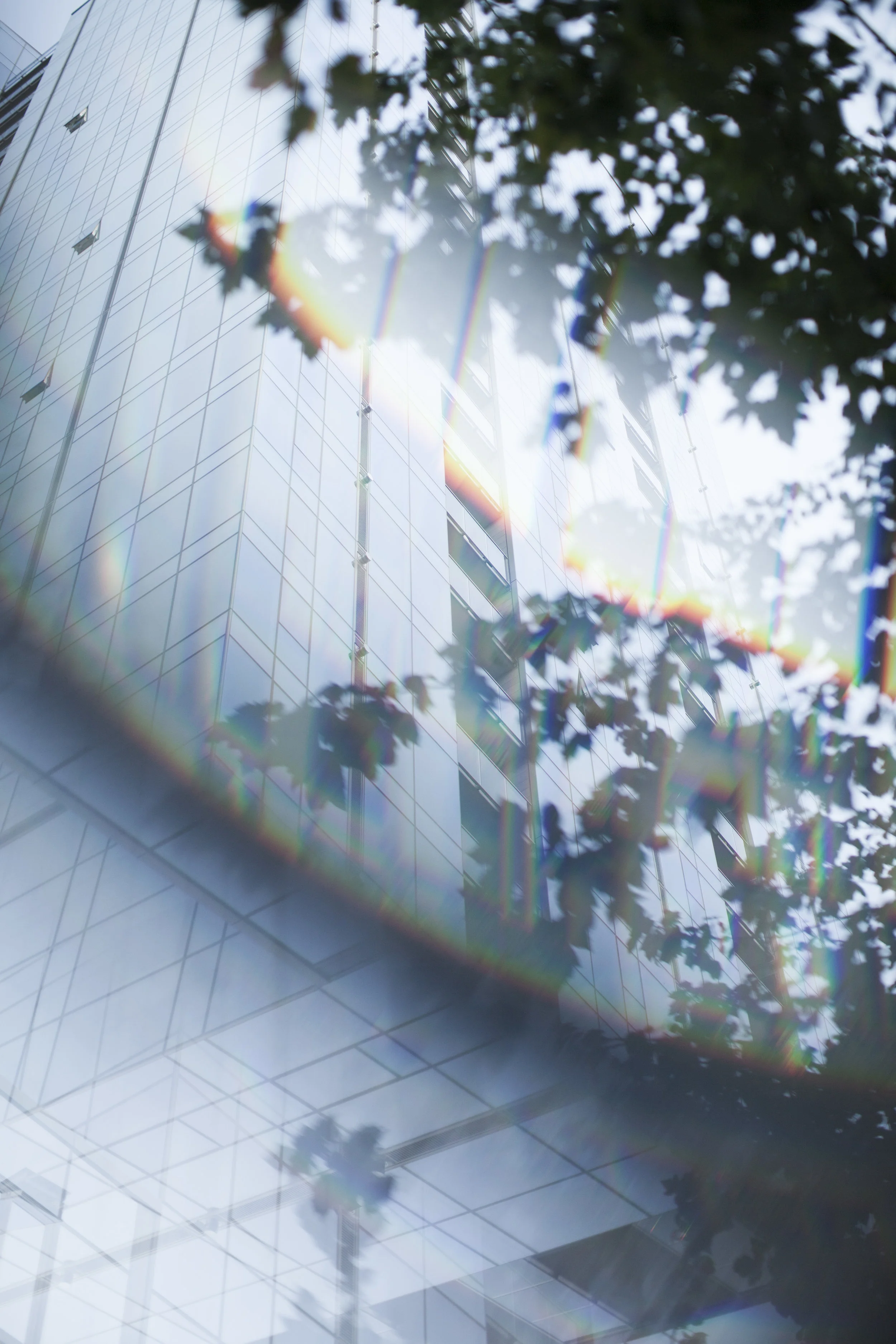 Stop, Rest, Delight, &amp; Worship