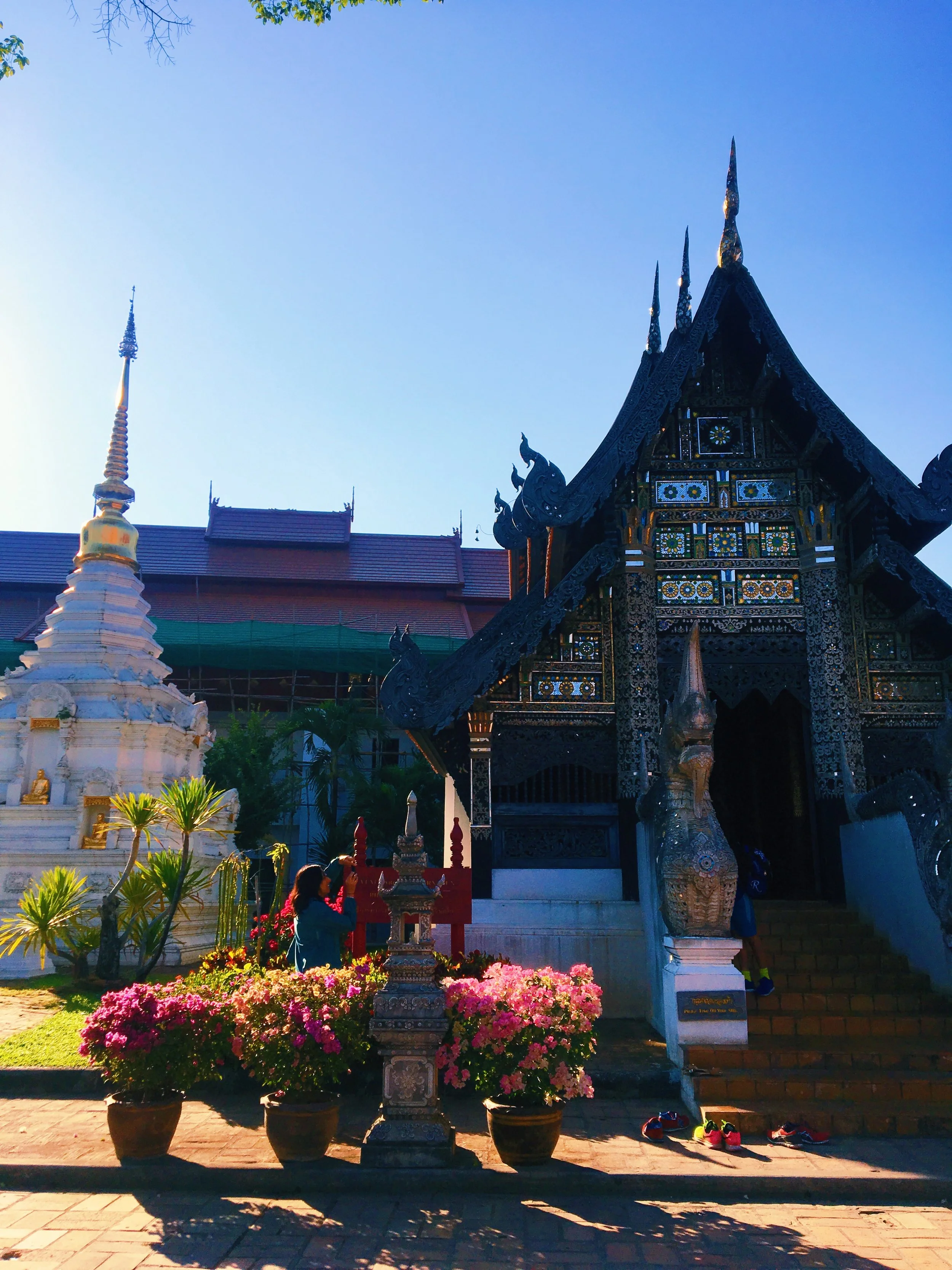 Chang Mai favorites 16.JPG