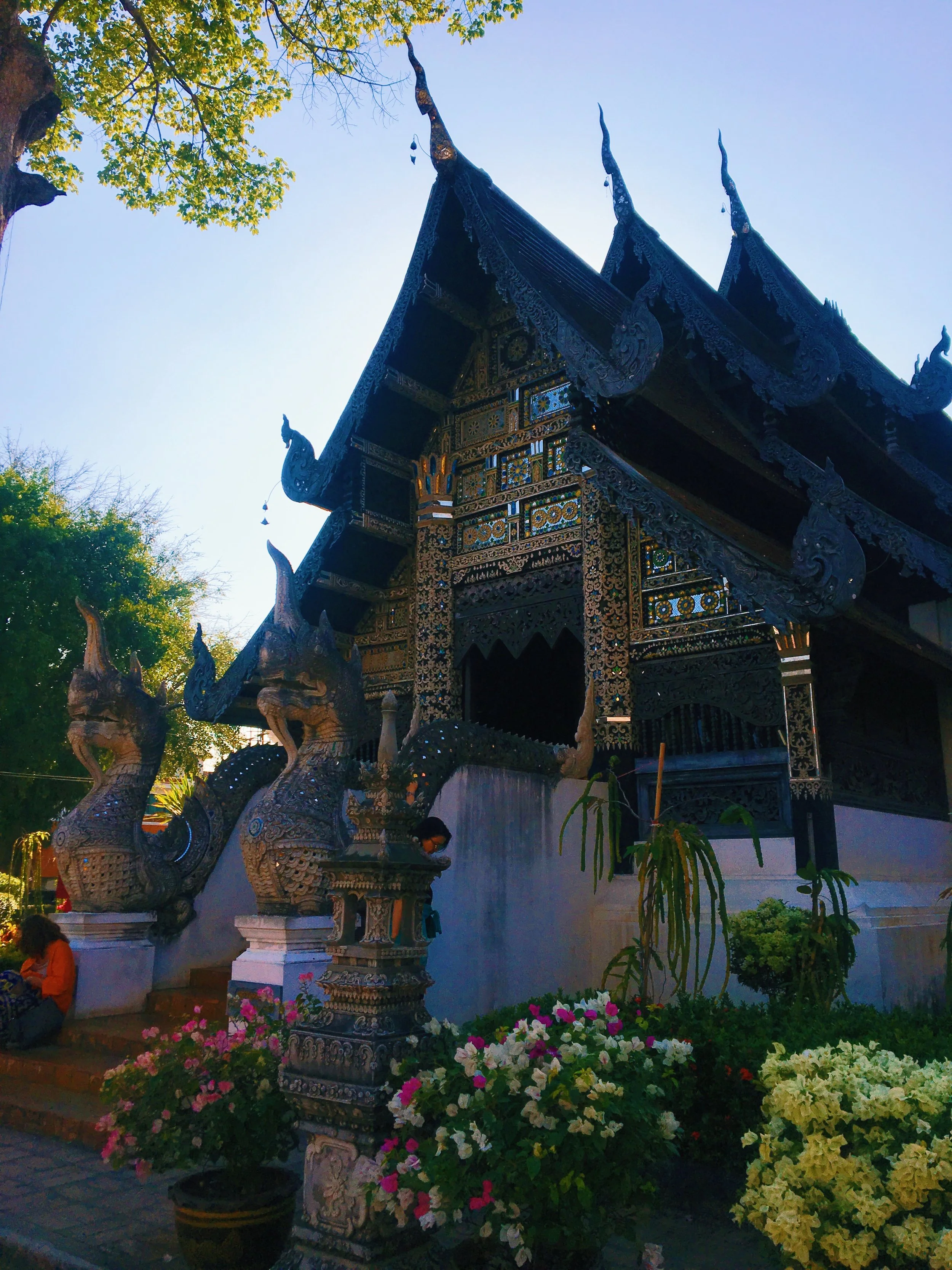 Chang Mai favorites 12.JPG