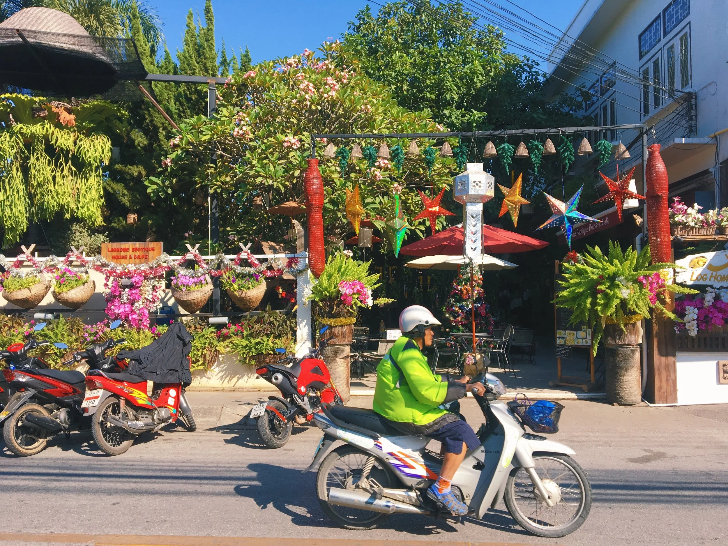 Chang Mai favorites 10.JPG