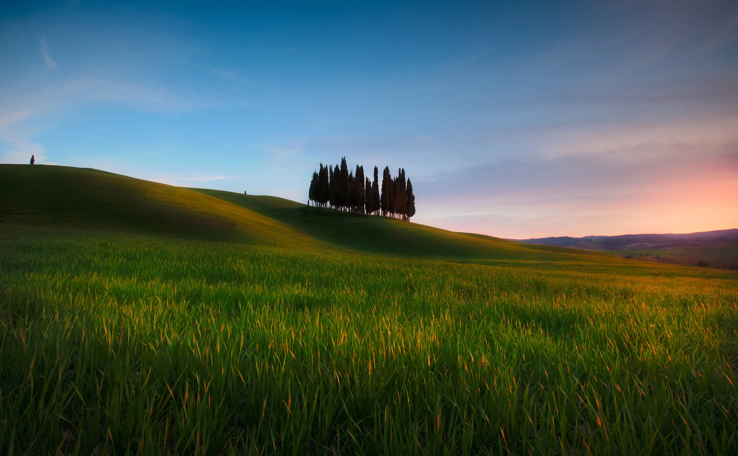 Tuscan Light These cypress trees near San Quirico d'Orcia must be among the most photographed trees in the world. It's still impossible to ignore them though, there's just something so appealing about their location, standing isolated in the rolling hills of Tuscany.
