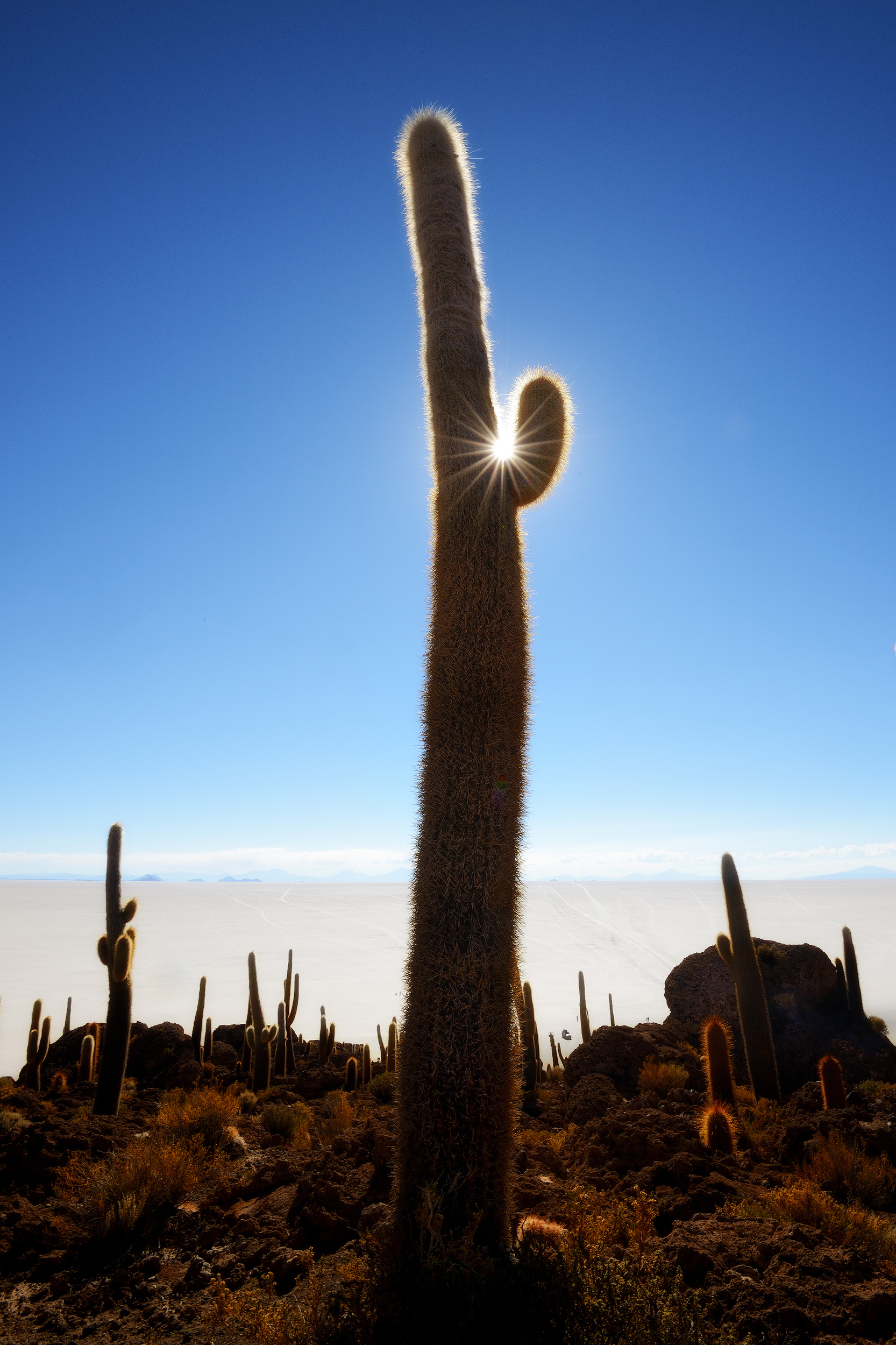 Isla dos Pescadores The sun slowly goes down above the cactus-covered Isla dos Pescadores on the Salar de Uyuni