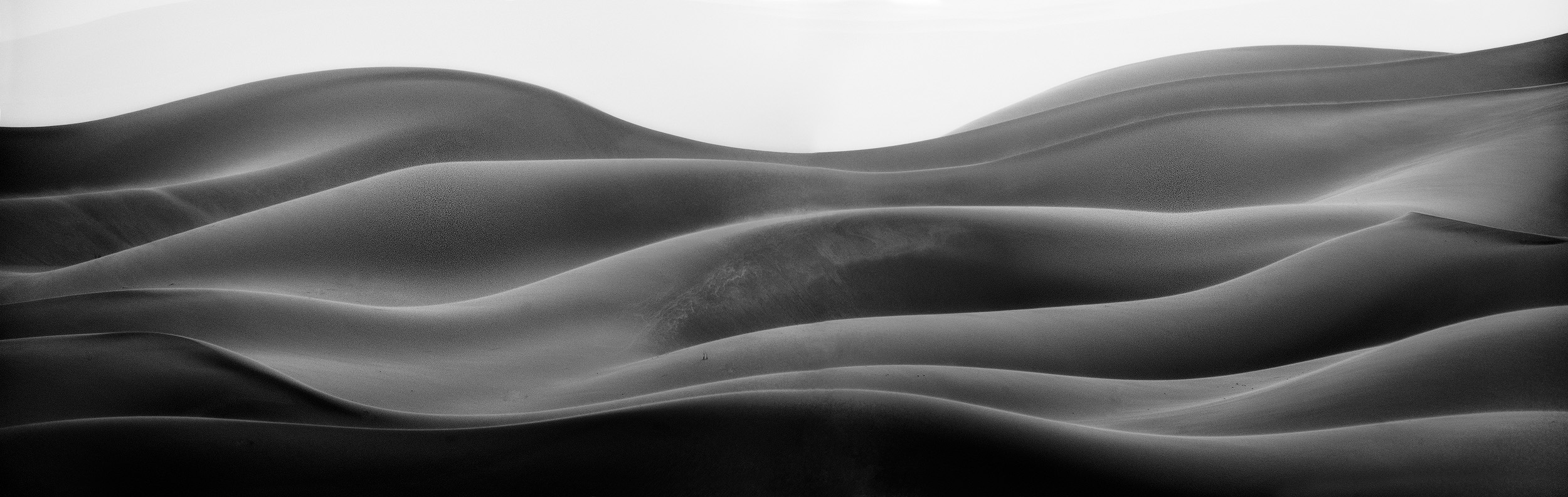 Curves A black and white study of the dune shapes in a sandstorm in the Sahara.