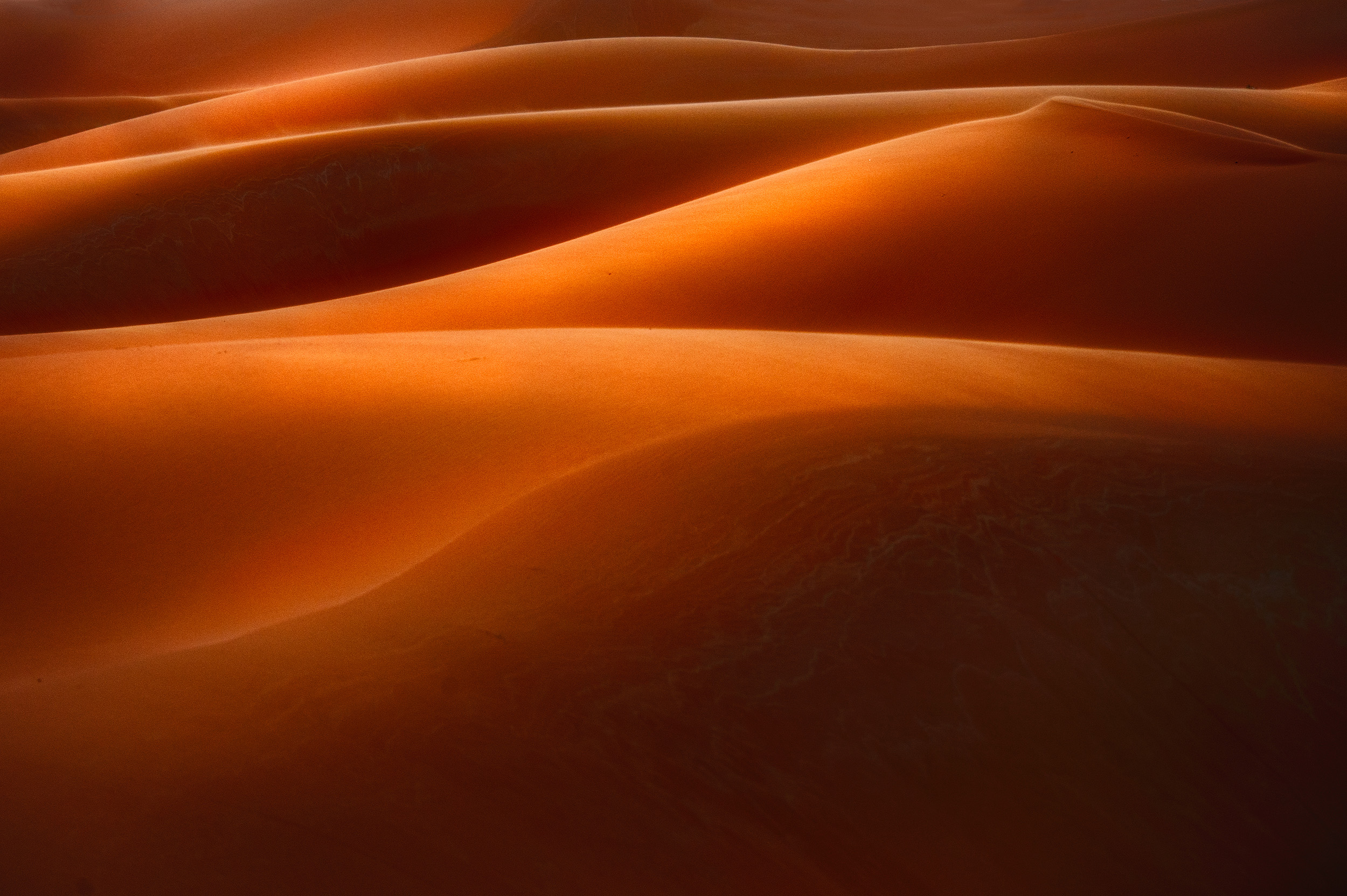 Dune Abstract A telephoto close up of a sand dune near Erg Chebbi in the Sahara desert