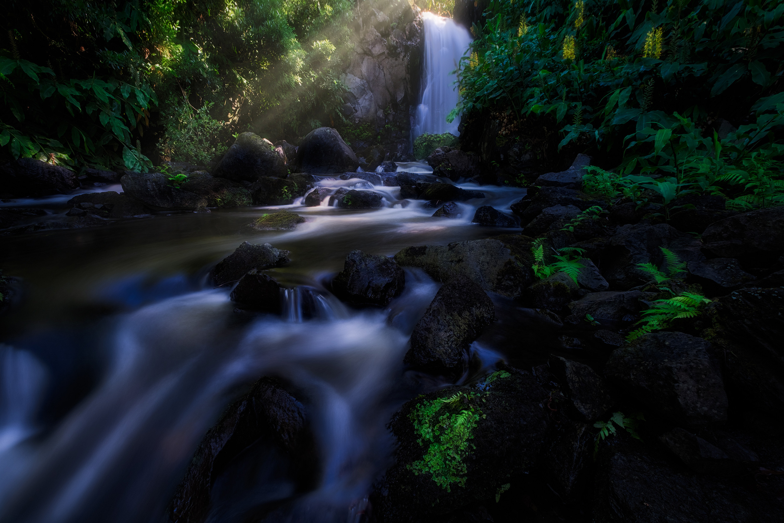 Flores Falls The island of Flores, one of the outermost of the Azores islands in the middle of the Atlantic Ocean, is full of magnificent waterfalls. There are simply too many to count and many of them, like this one in the Riba do Ferreiro, have no path or easy access. To get to this point I had to climb up through thick vegetation, then scramble up the rocks at the side of the falls.