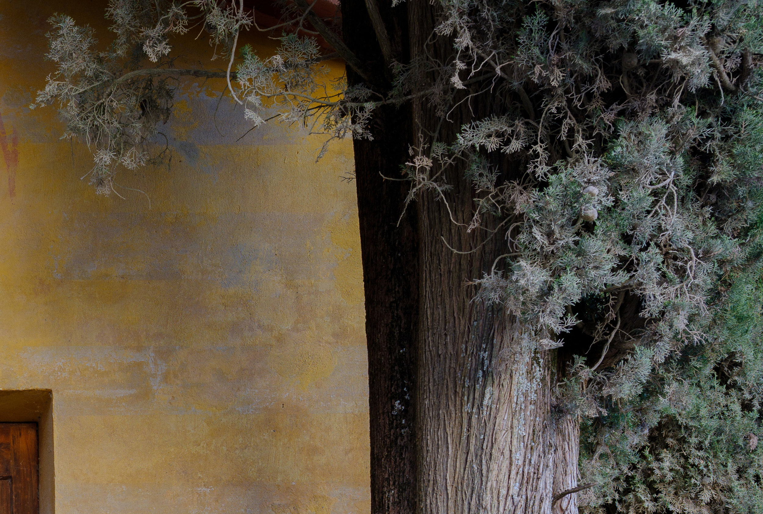 100% CROP