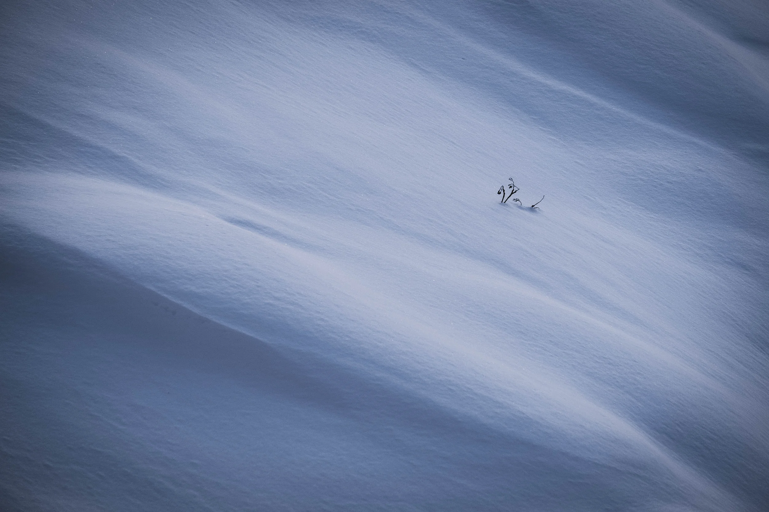 snowabstract4.jpg