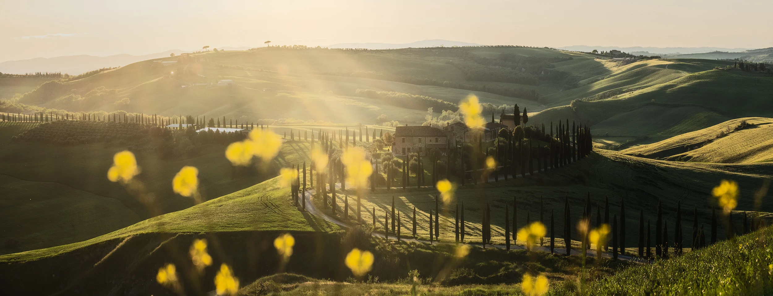 crete senesi2.jpg