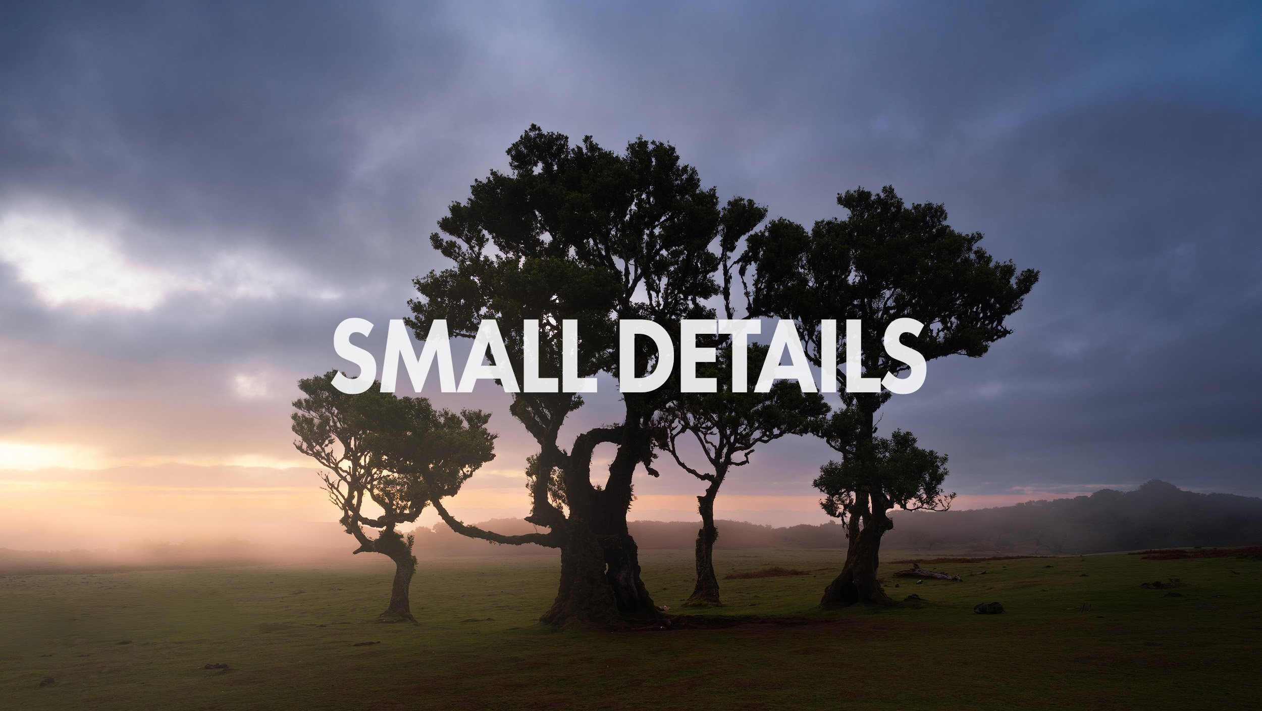SMALL DETAILS MATTER