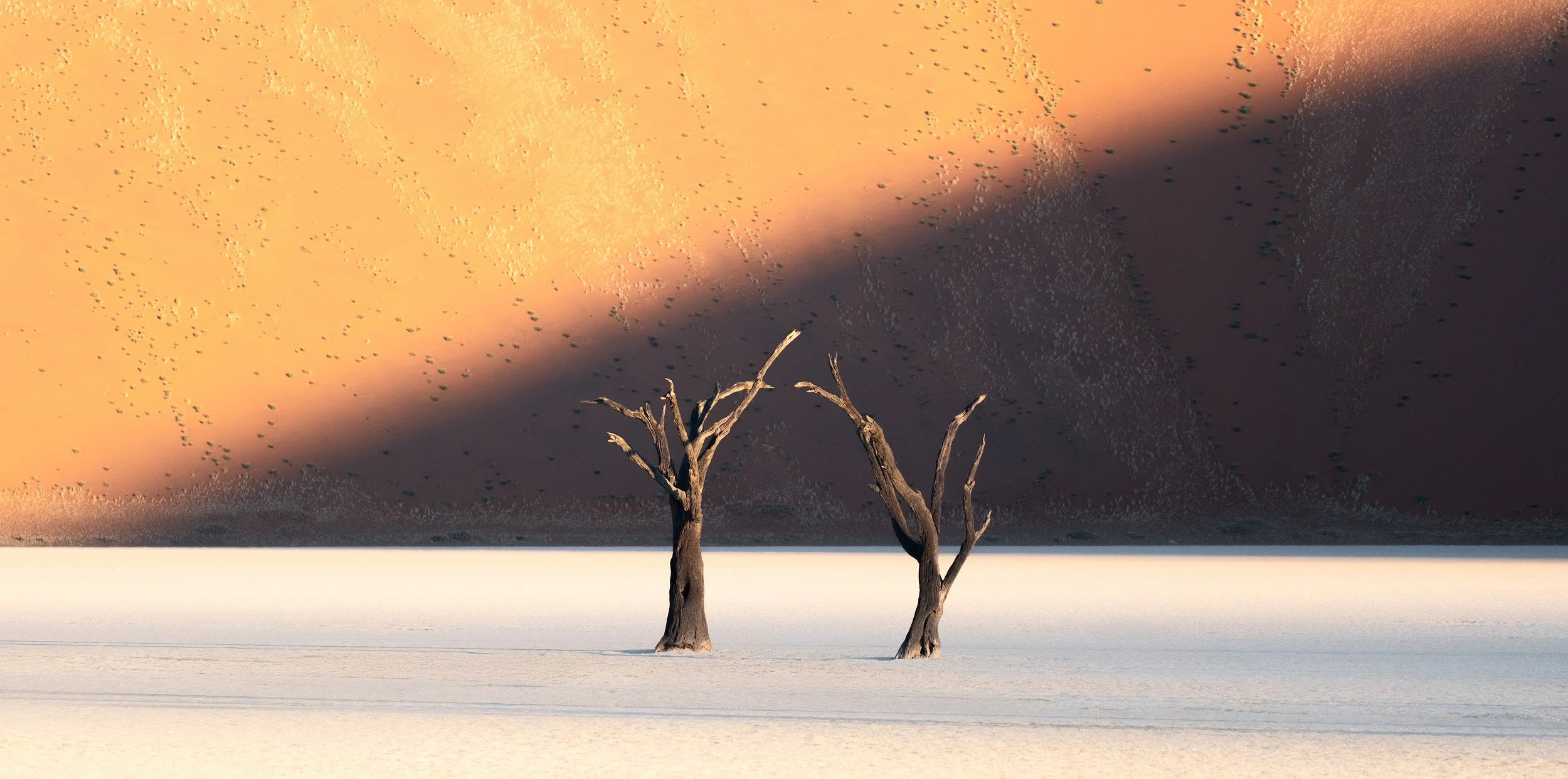 Deadvlei Afternoon 1.jpg