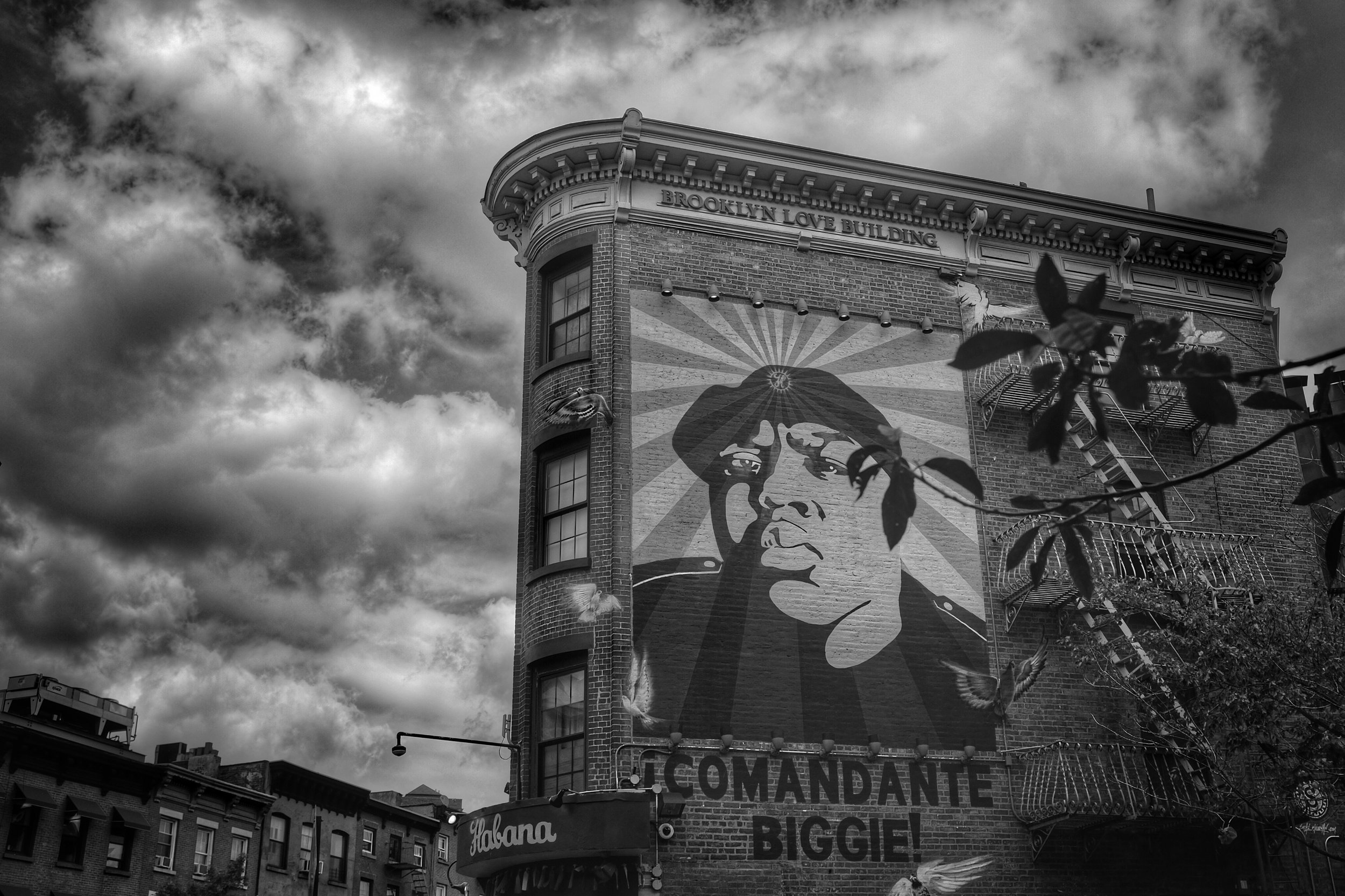 Comandante Biggie. Brooklyn Love Building. Fort Greene. Brooklyn. New York. 2016.
