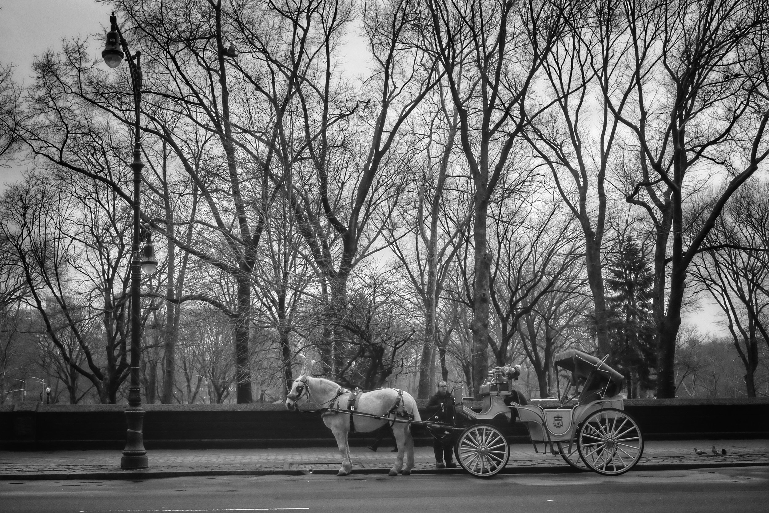 Central Park West. Columbus Circle. New York City. 2017.