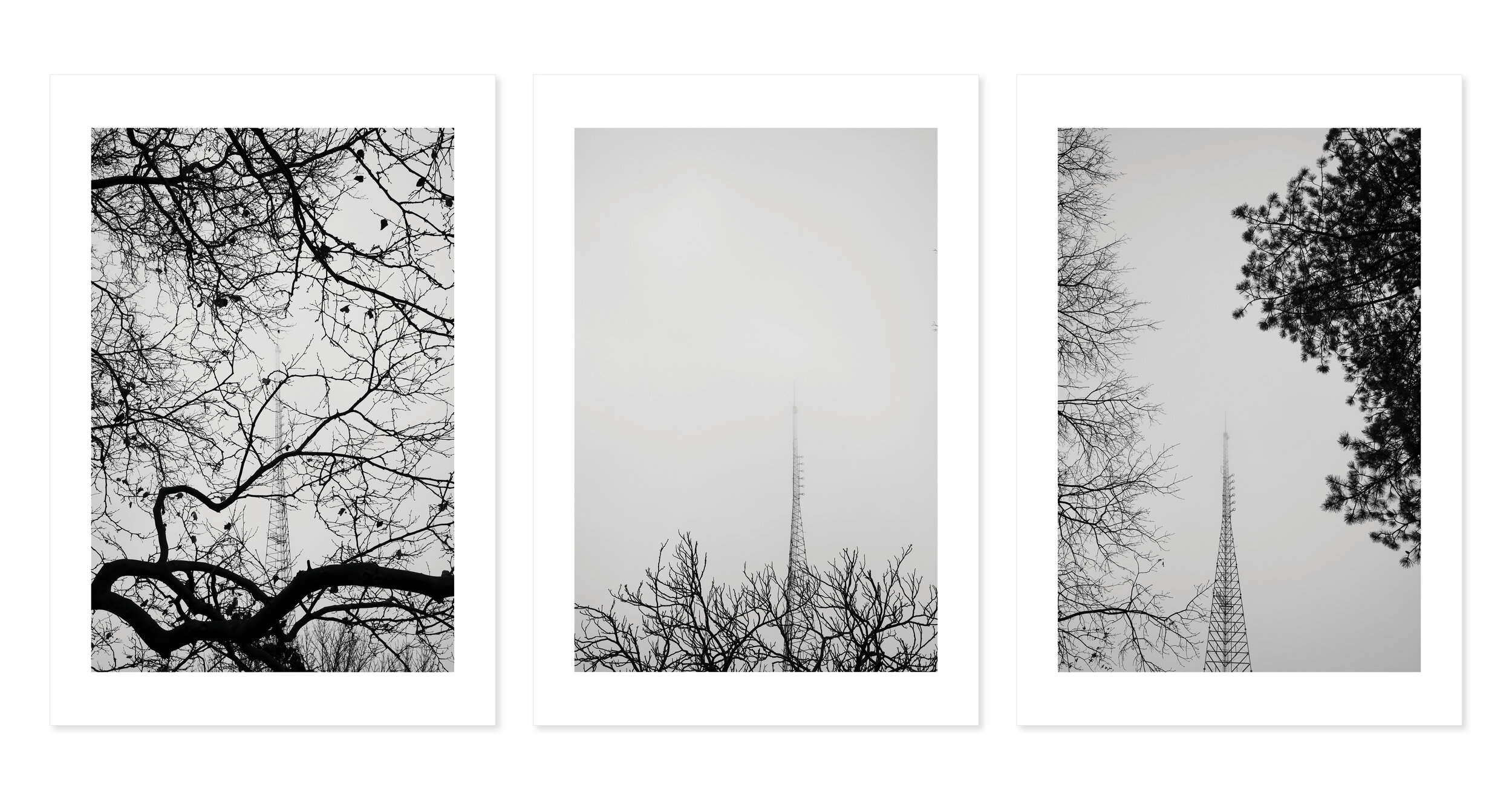 Brooklyn Radio Tower. From the series, Single Object Triptychs (Complete Set). Brooklyn. New York. 2021