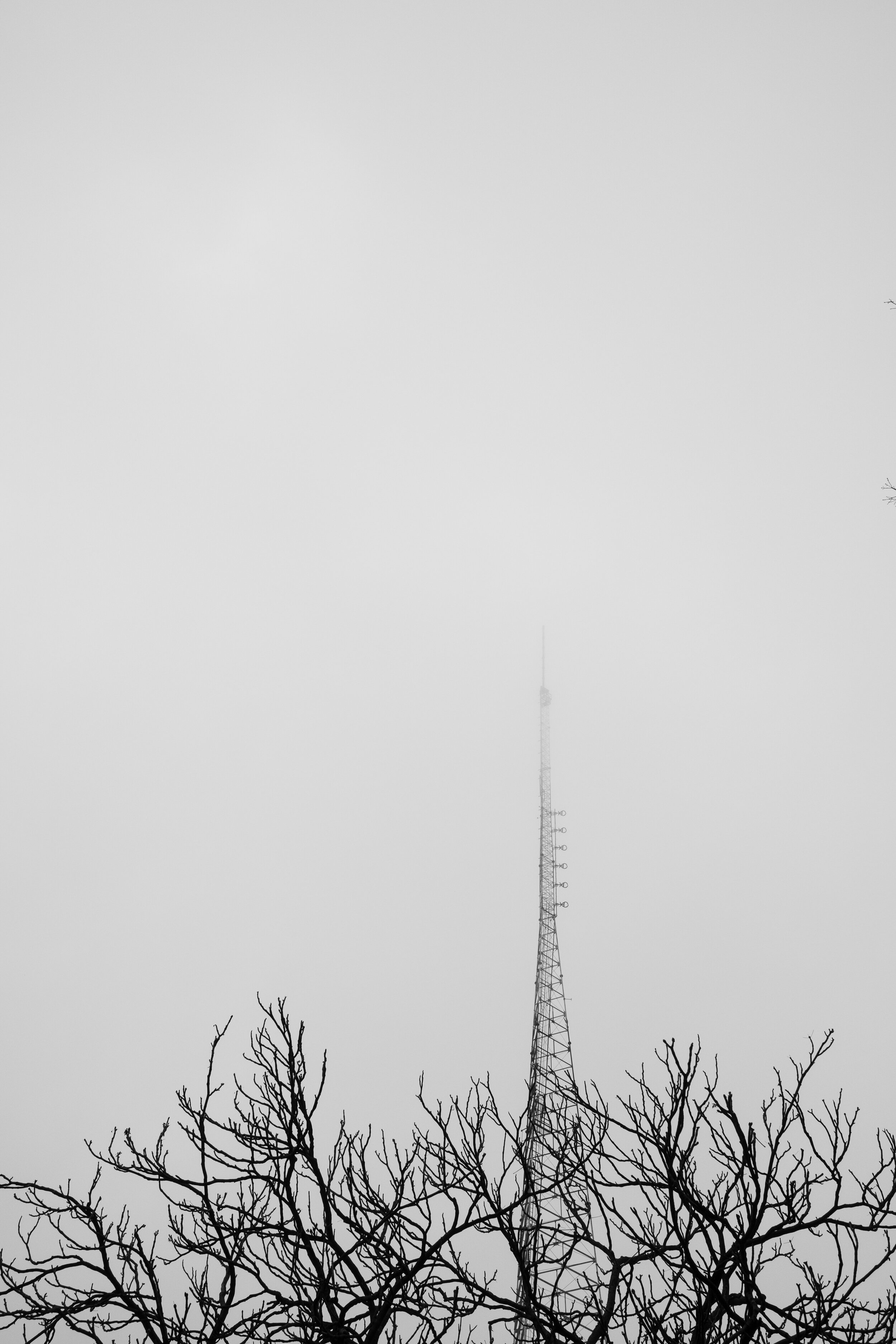 Brooklyn Radio Tower 2. From the series, Single Object Triptychs. Brooklyn. New York. 2021