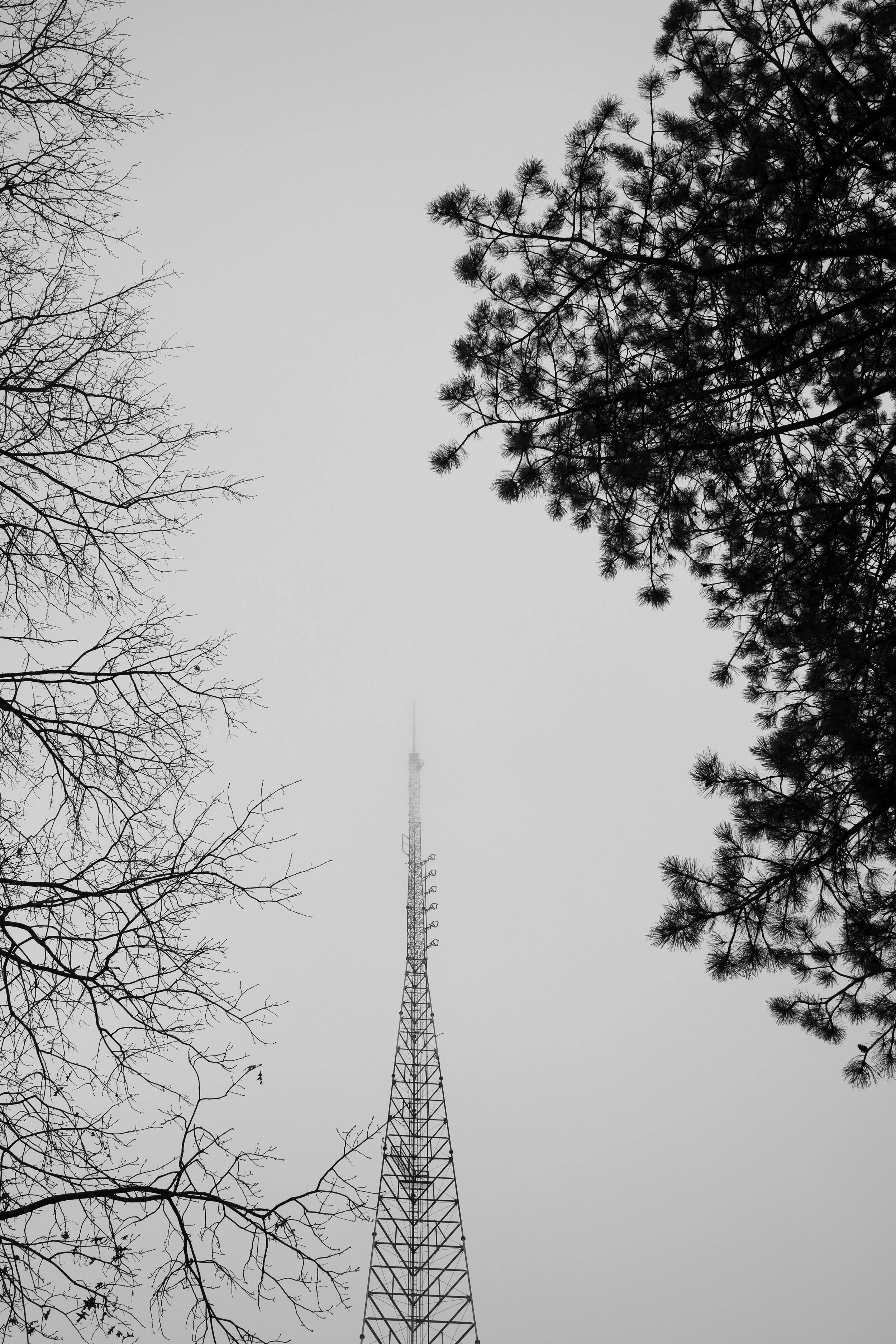 RADIO TOWER 1.JPG