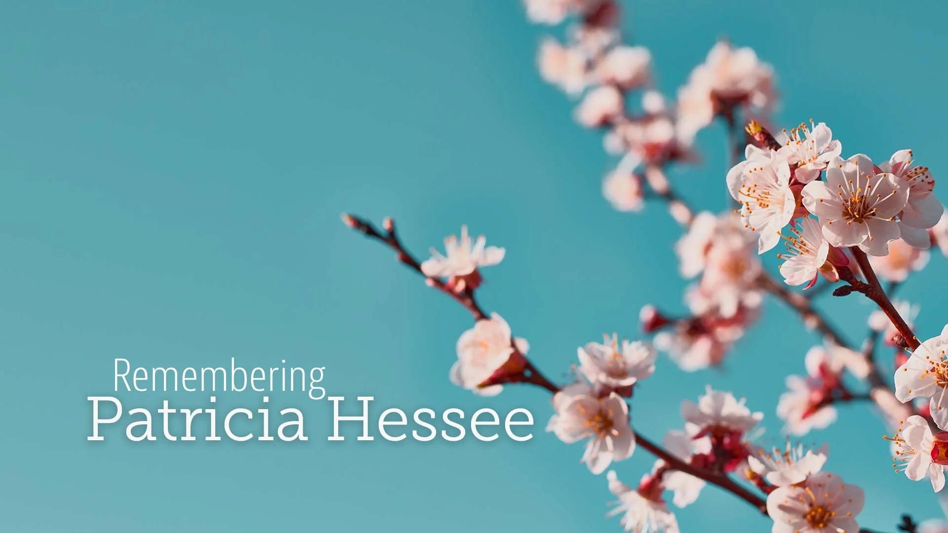 Remembering Patricia Hessee
