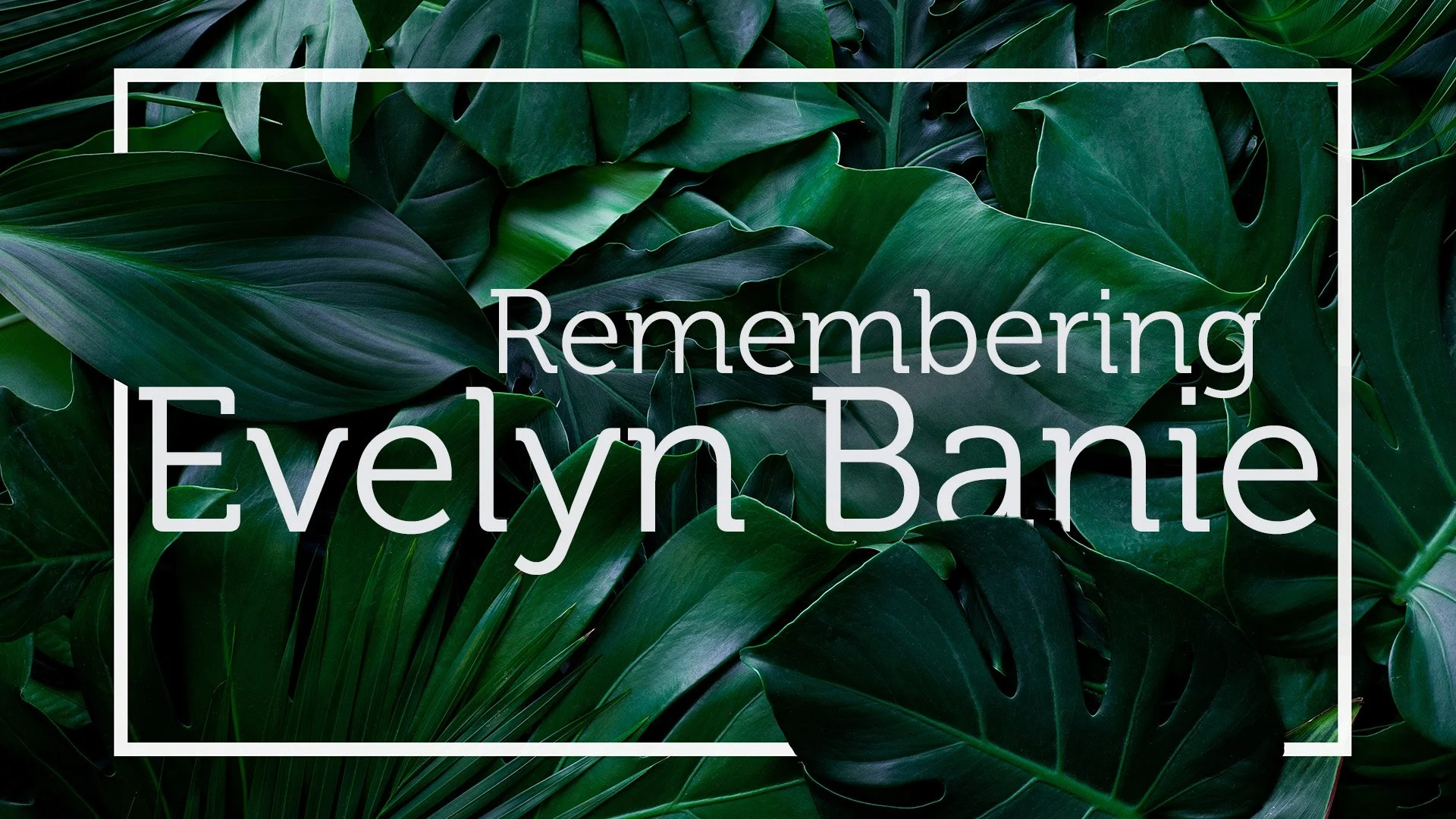 Remembering Evelyn Banie