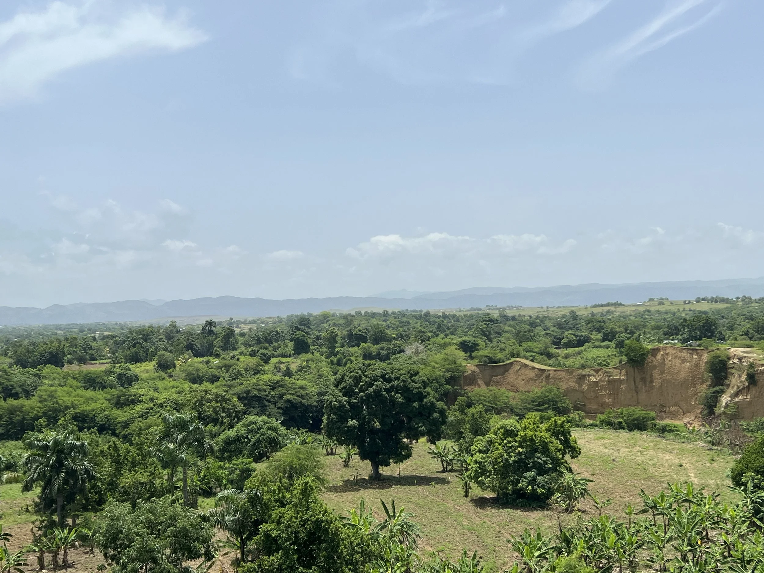IMG_0725.jpeg