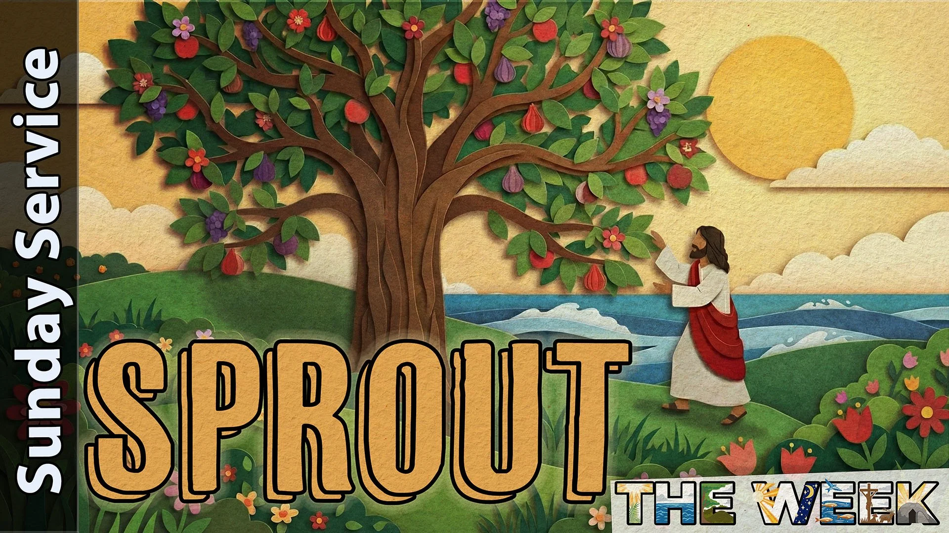 [Sunday] Day 3 - Sprout, The Week