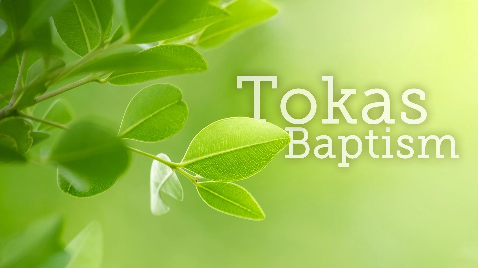 Tokas Family Baptism