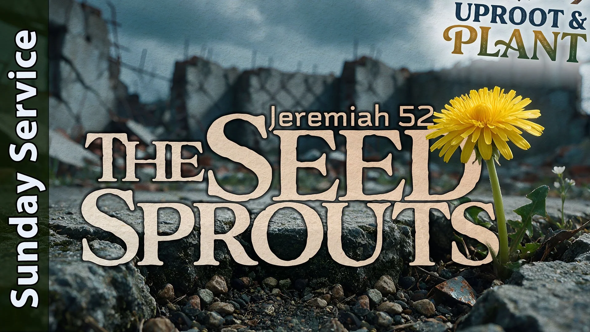 [Sunday] The Seed Sprouts - Uproot &amp; Plant - The Book of Jeremiah Ch52