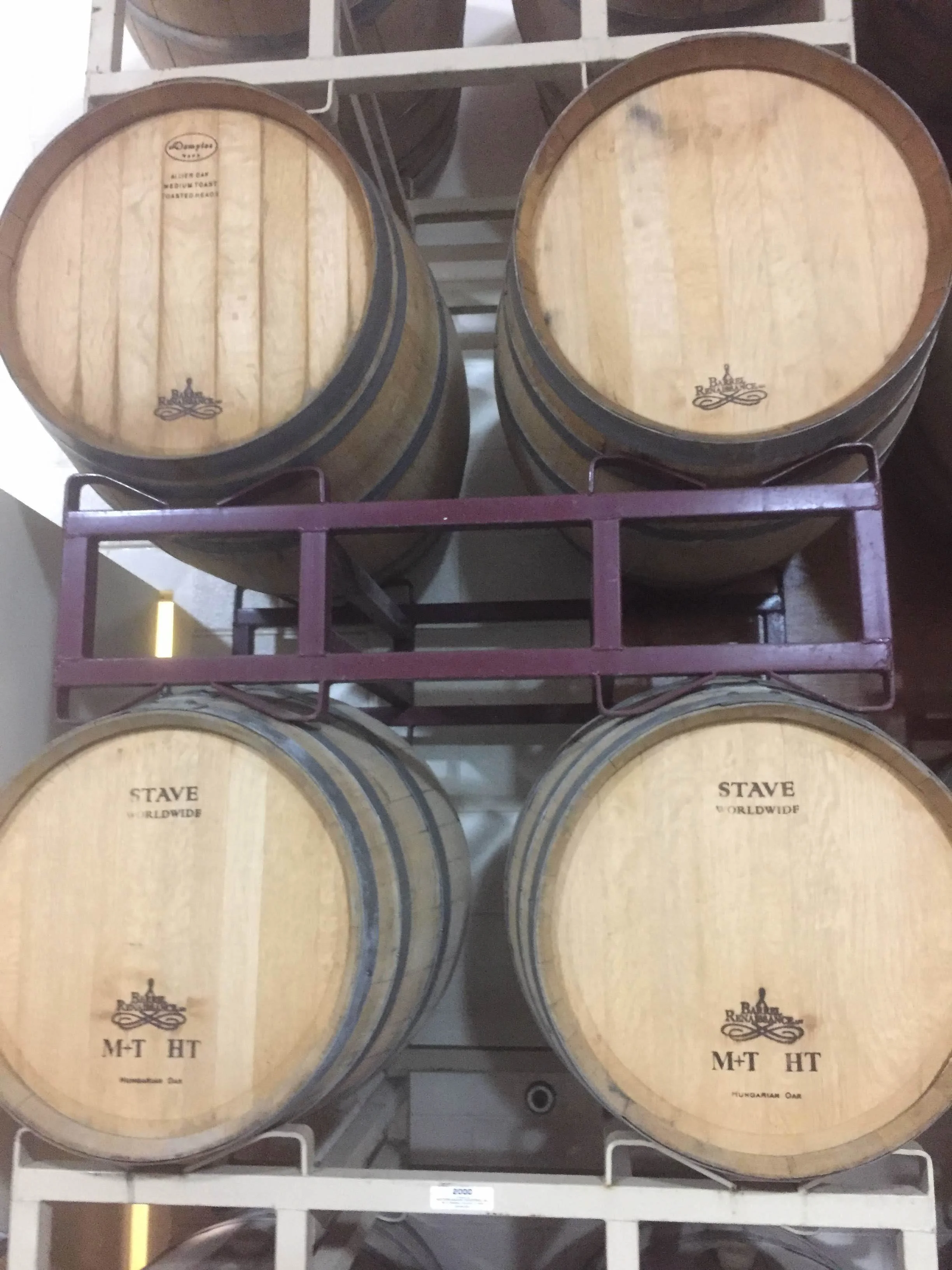 Oak - or better yet, Quercus