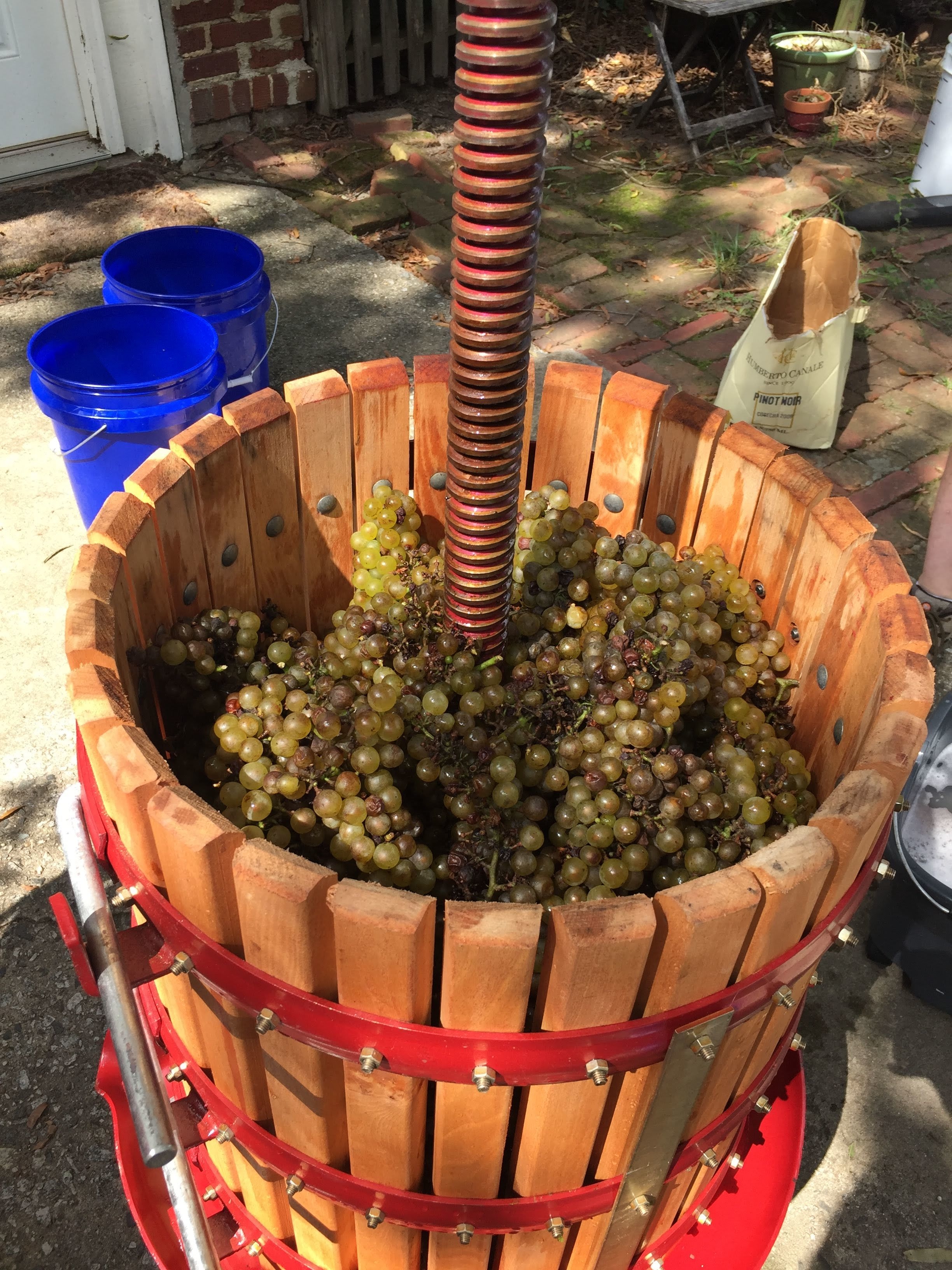 Stop the presses! We're making our own wine! 