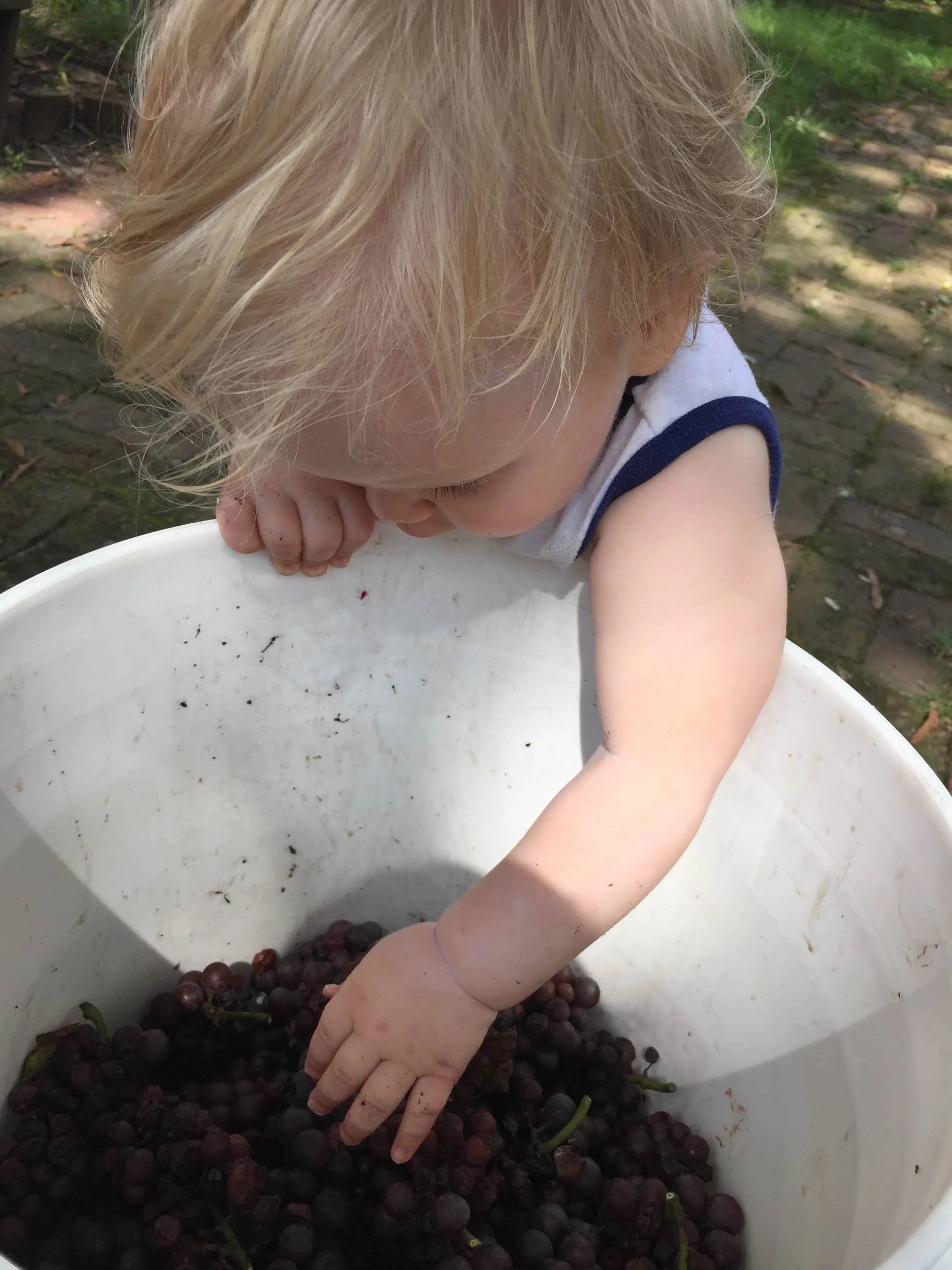  Mama’s little helper!  