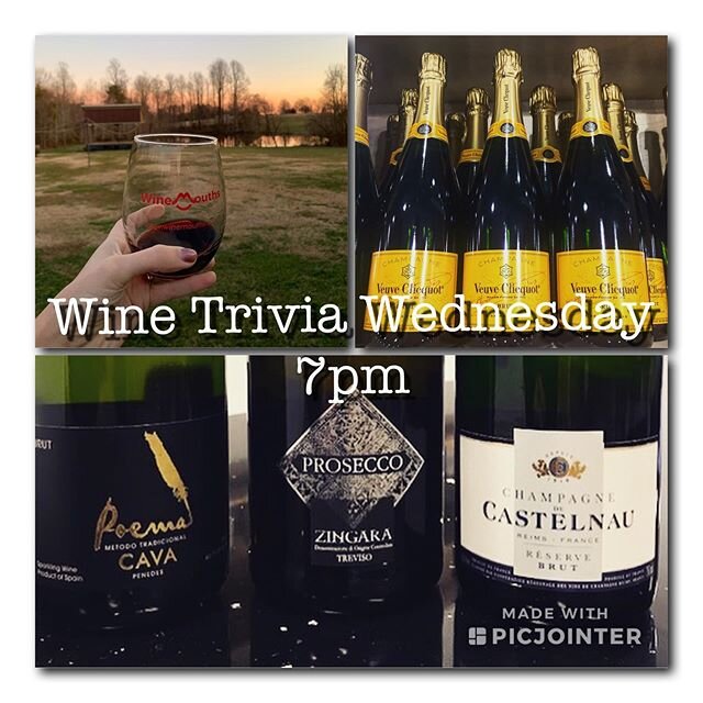 Who loves trivia and wine? 🙋🏼&zwj;♀️ Check out our stories every Wednesday around 7pm EST to play along, preferably with a 🍷 in hand! How much do you know about wine?? #winemouths