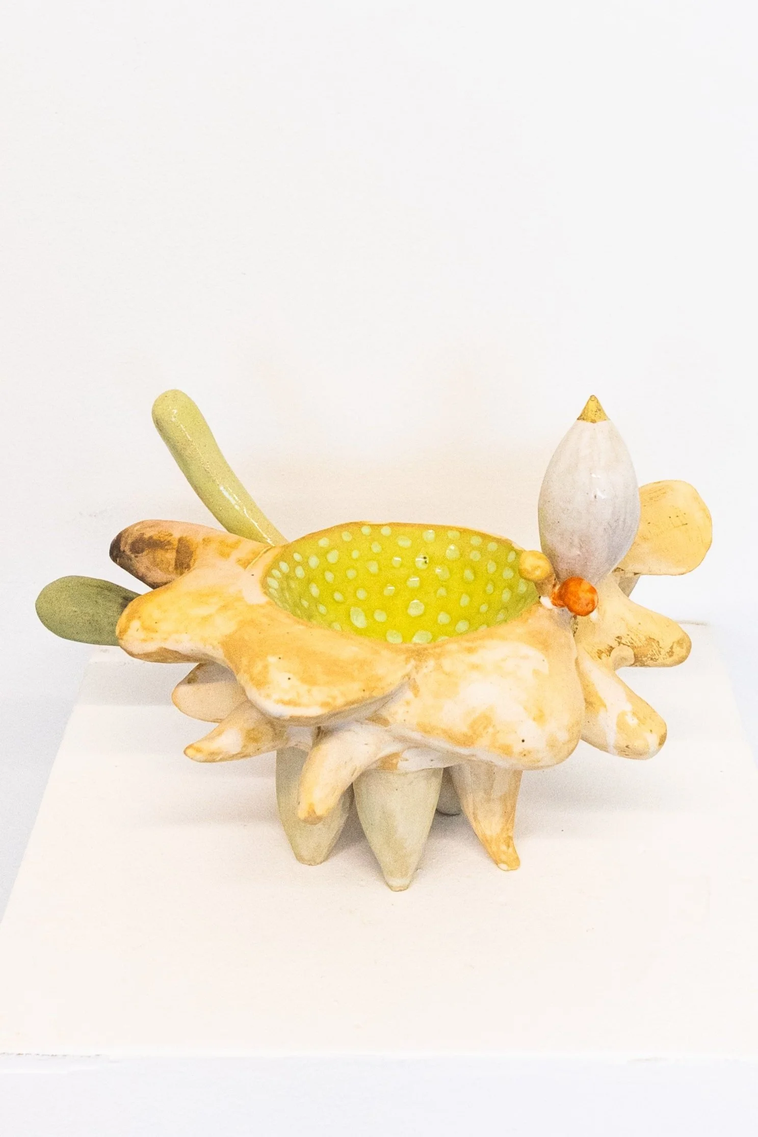 Lisa Farris – Small Green Nectary