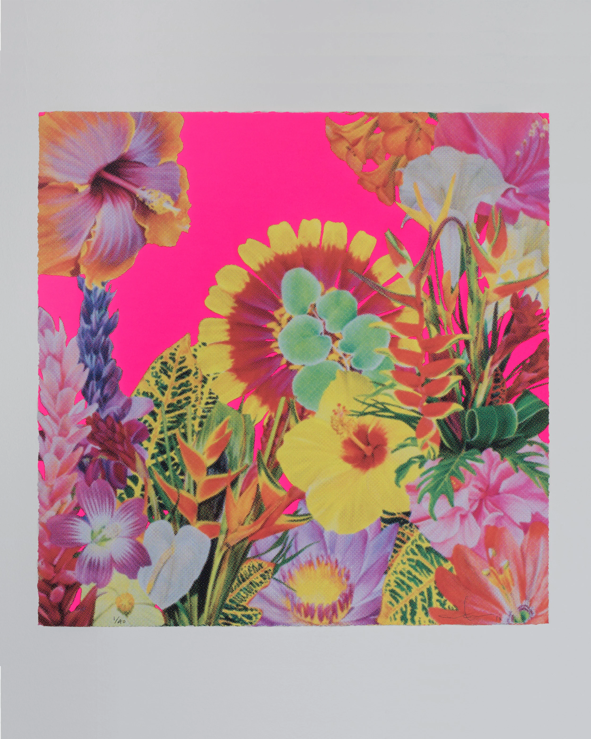 Carlos Rolón <br /> <em>Fountain of Youth </em>