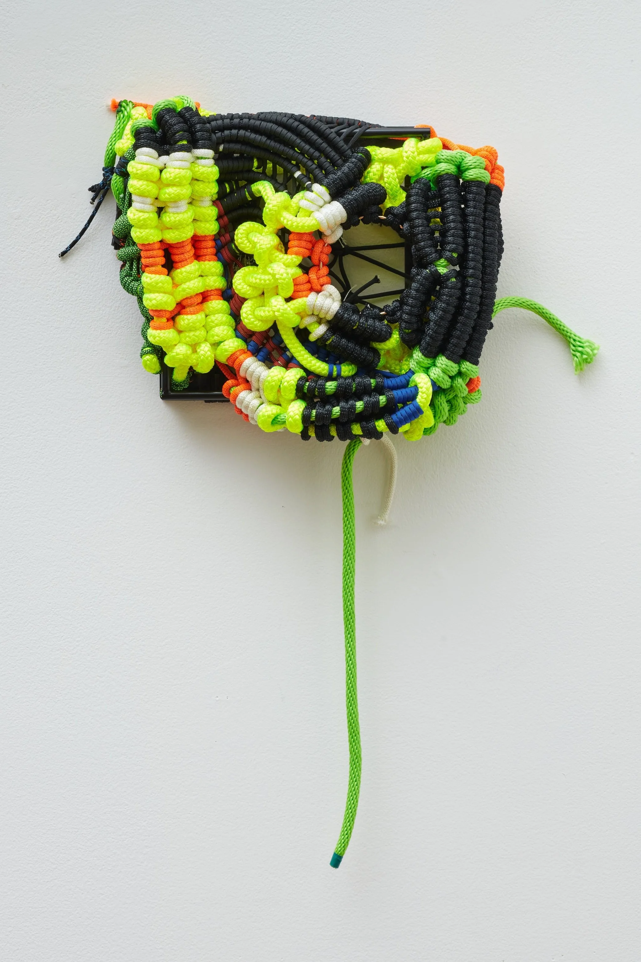Jacqueline Surdell – Lil beb 6