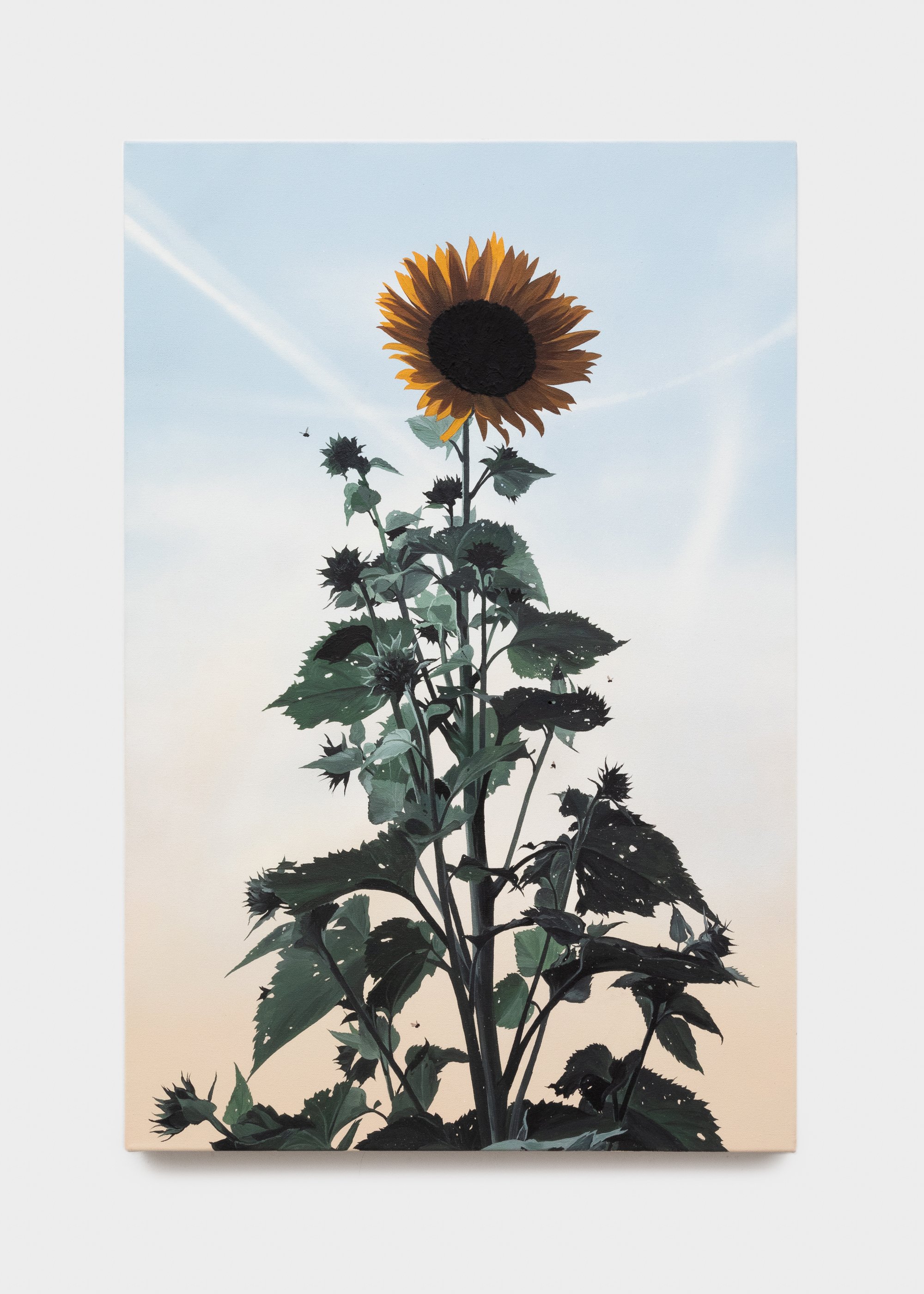 Louise Jones – Blight