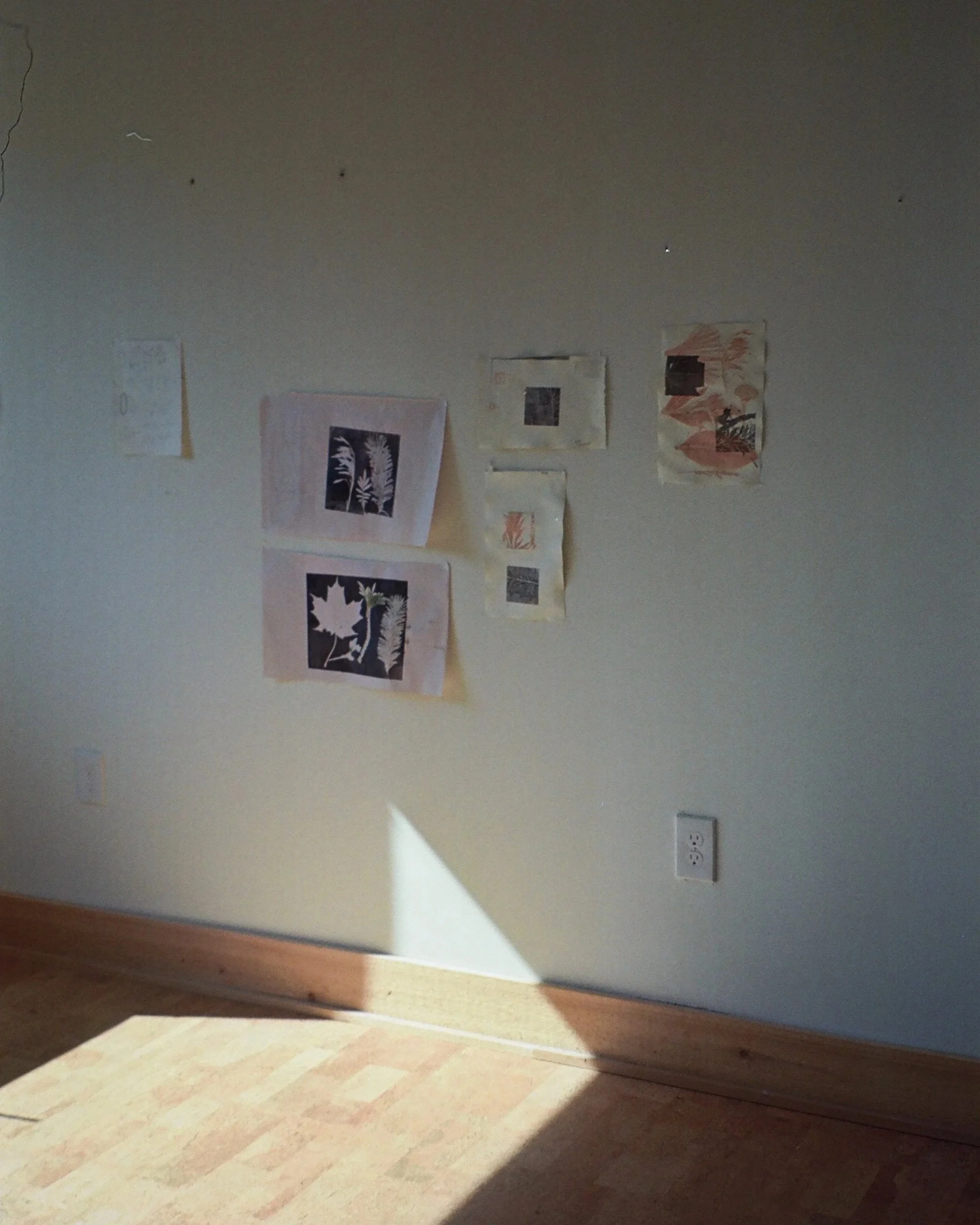 002231540011-2.jpg