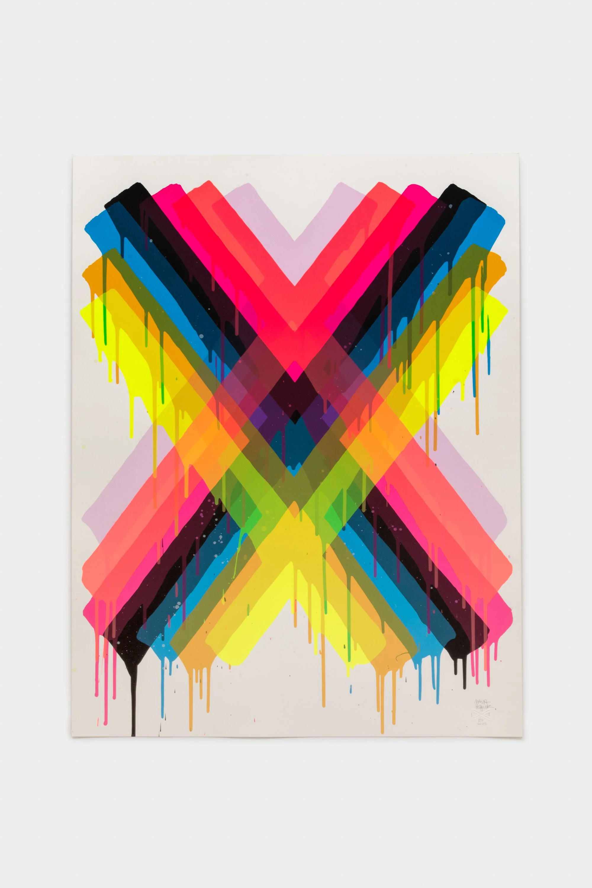 Maya Hayuk — LB Archive Print #1.jpg