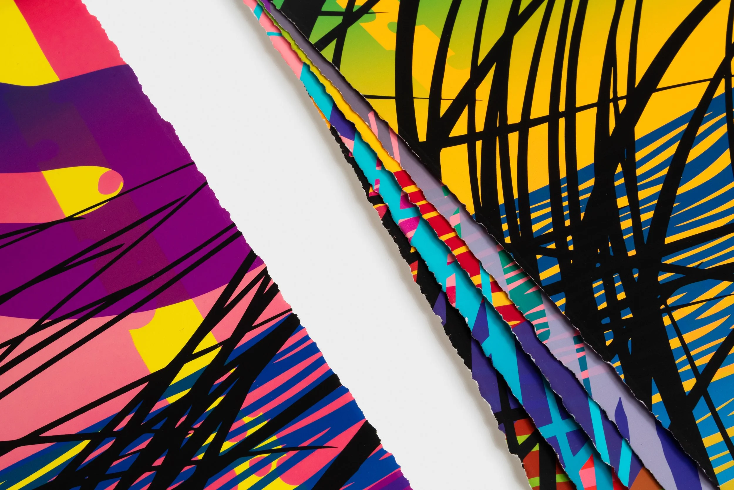 09-27-23 LSC sf print teasers-10.jpg