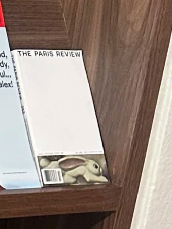 The Paris Review – No. 253 Fall 2025