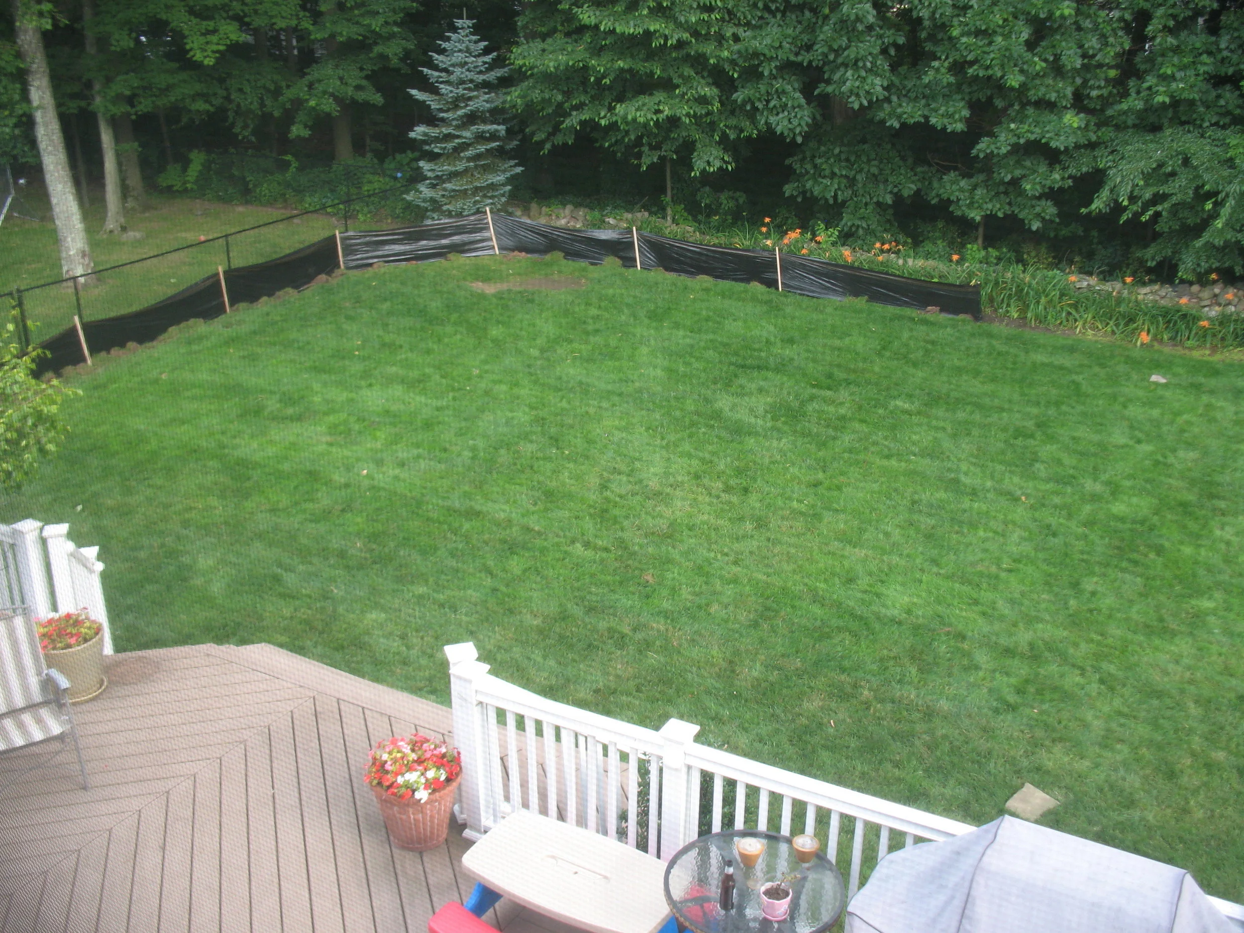 Pool before.jpg