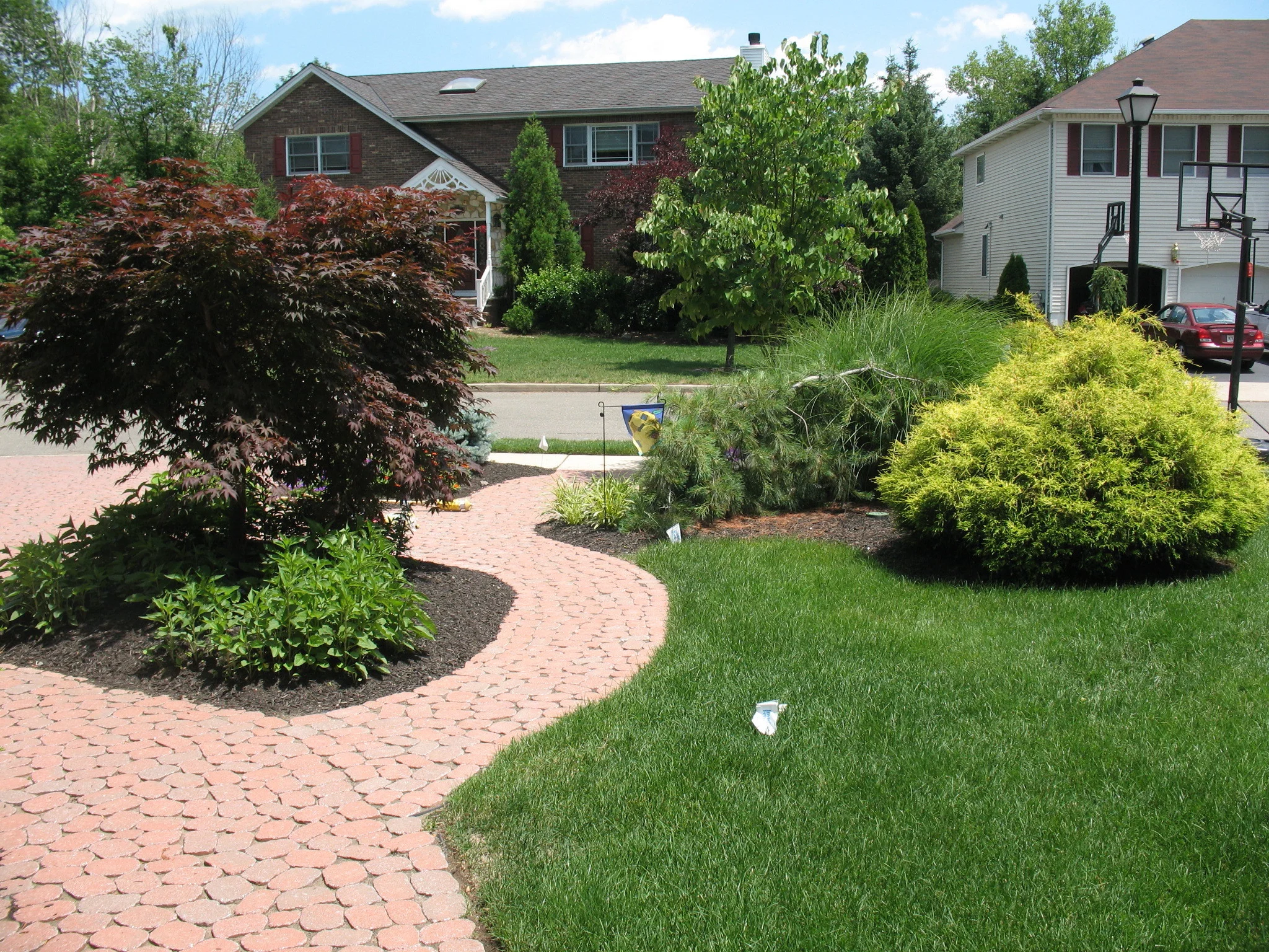 Wholey side2.jpg