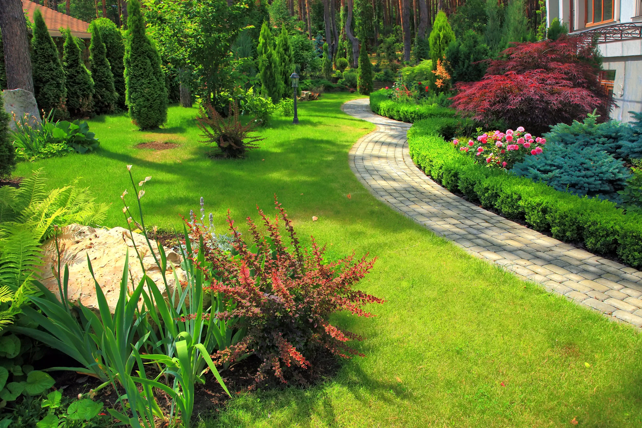 Planting and Yard Beautification