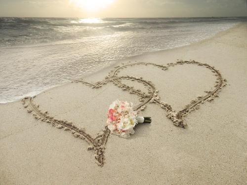shutterstock_118078399_1000x.jpg