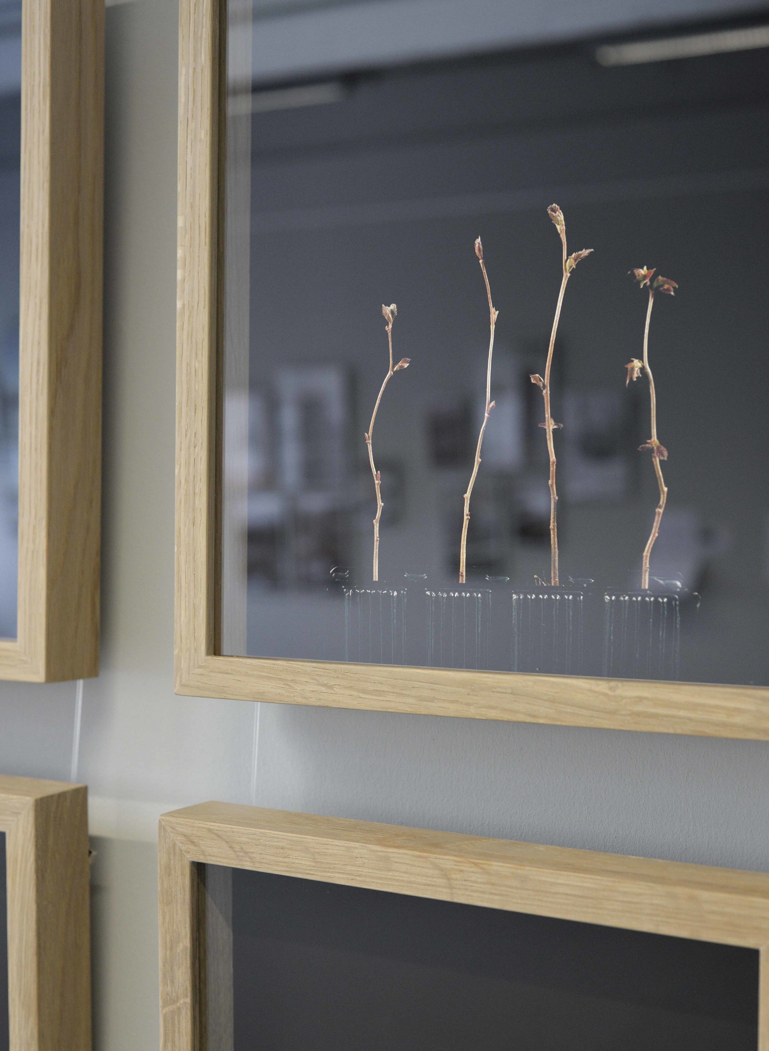 Edinburgh Napier Degree Show 2016