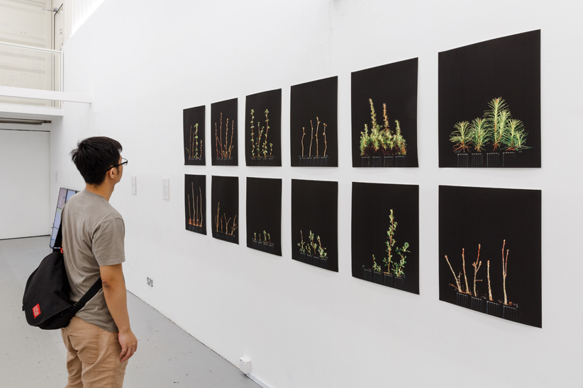 DECK Gallery, Singapore